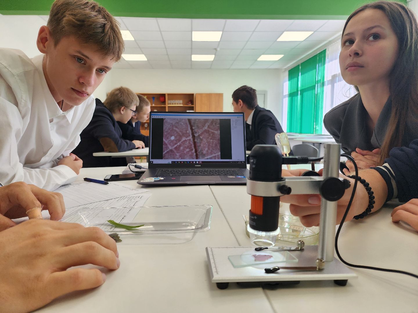 Подольск, Школа, Профильный класс, Аграрии, Образование,