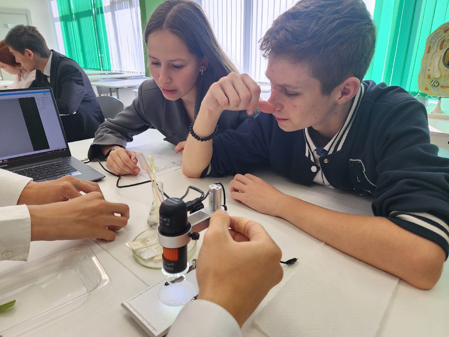 Подольск, Школа, Профильный класс, Аграрии, Образование,