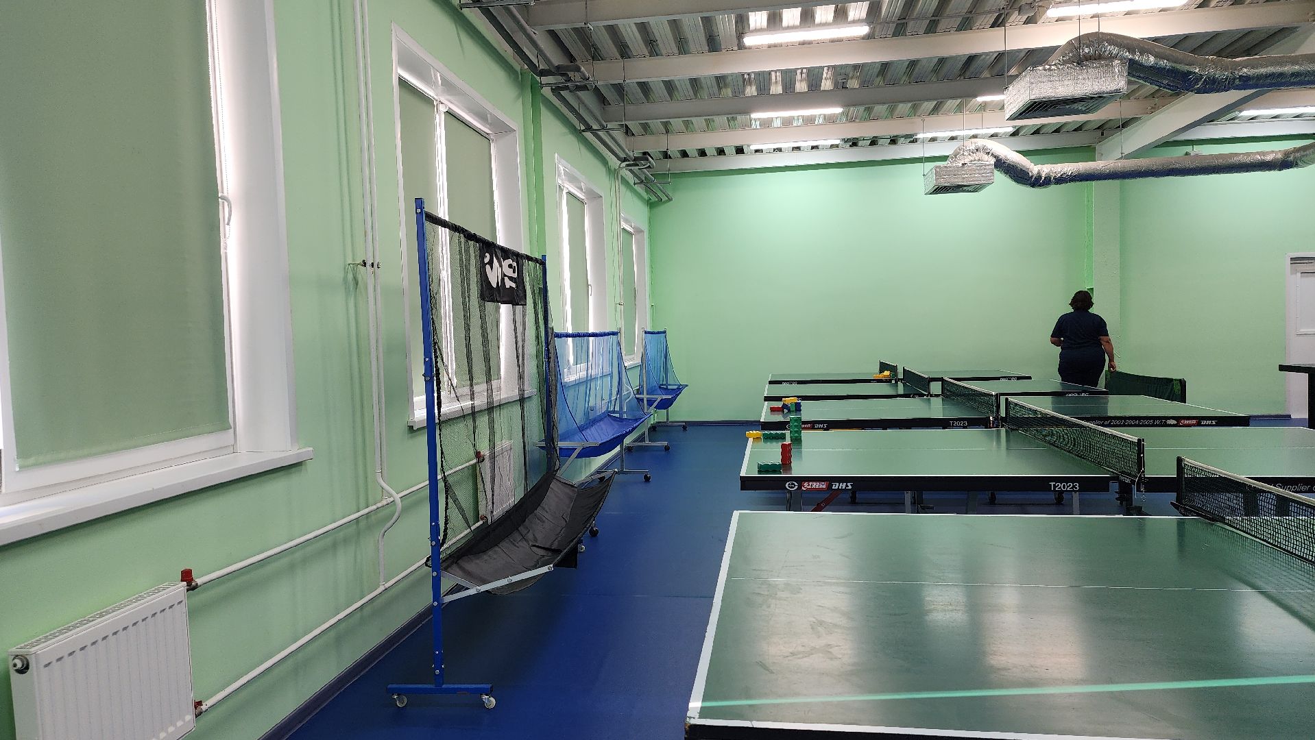 спортивная школа олимпийского резерва,настольный теннис, ФОК Акрихин, Старая Купавна, Богородский городской округ,