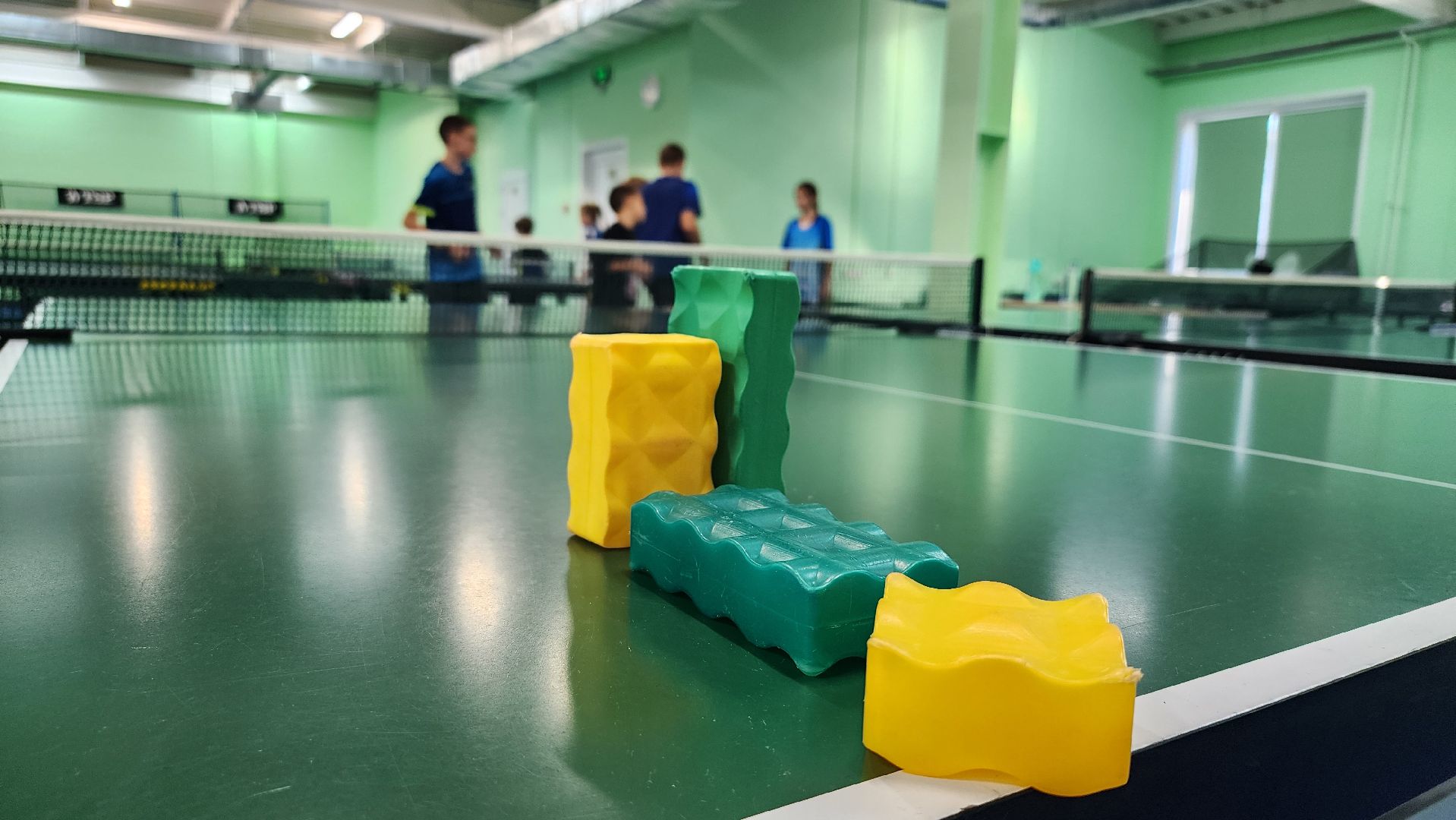 спортивная школа олимпийского резерва,настольный теннис, ФОК Акрихин, Старая Купавна, Богородский городской округ,