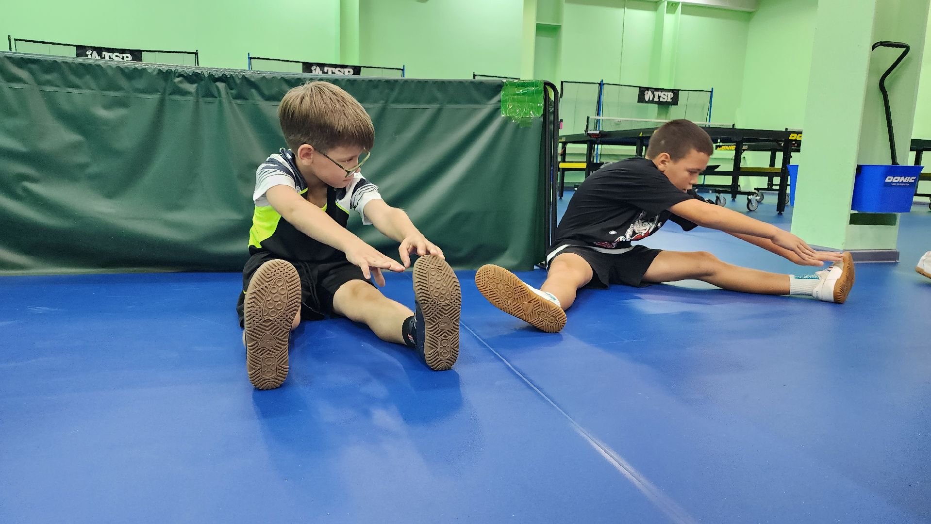 спортивная школа олимпийского резерва,настольный теннис, ФОК Акрихин, Старая Купавна, Богородский городской округ,