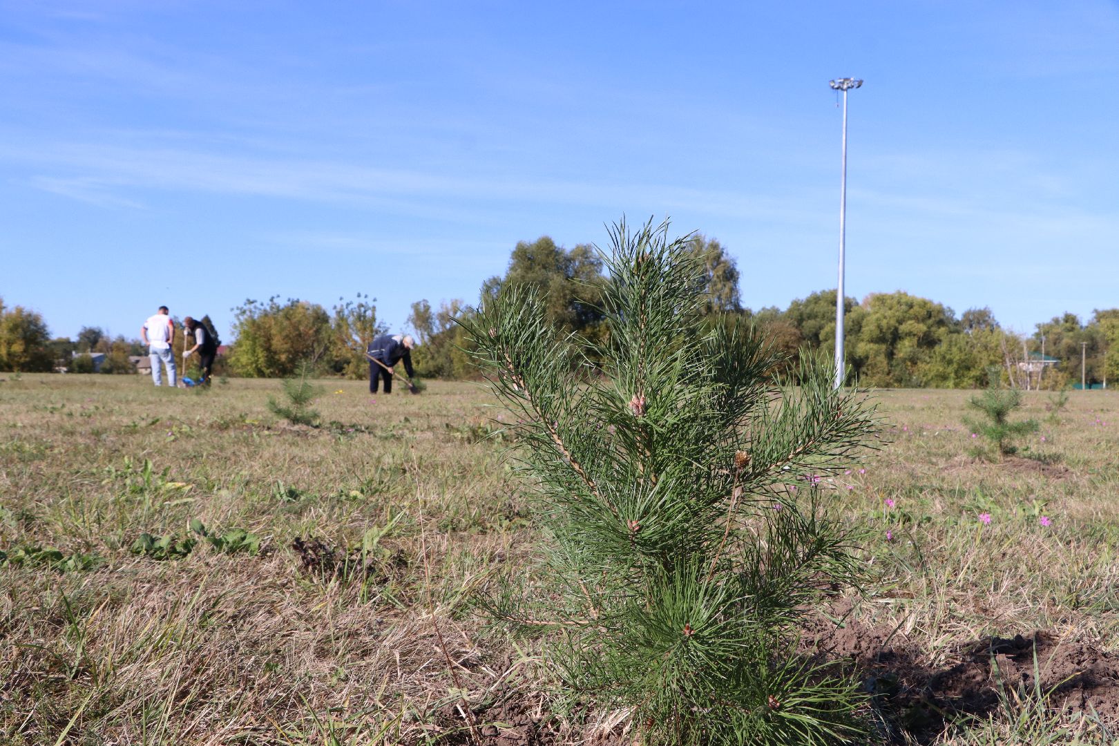 Парк Серебряный, Серебряные Пруды, День в лесу, Сохраним лес вместе,