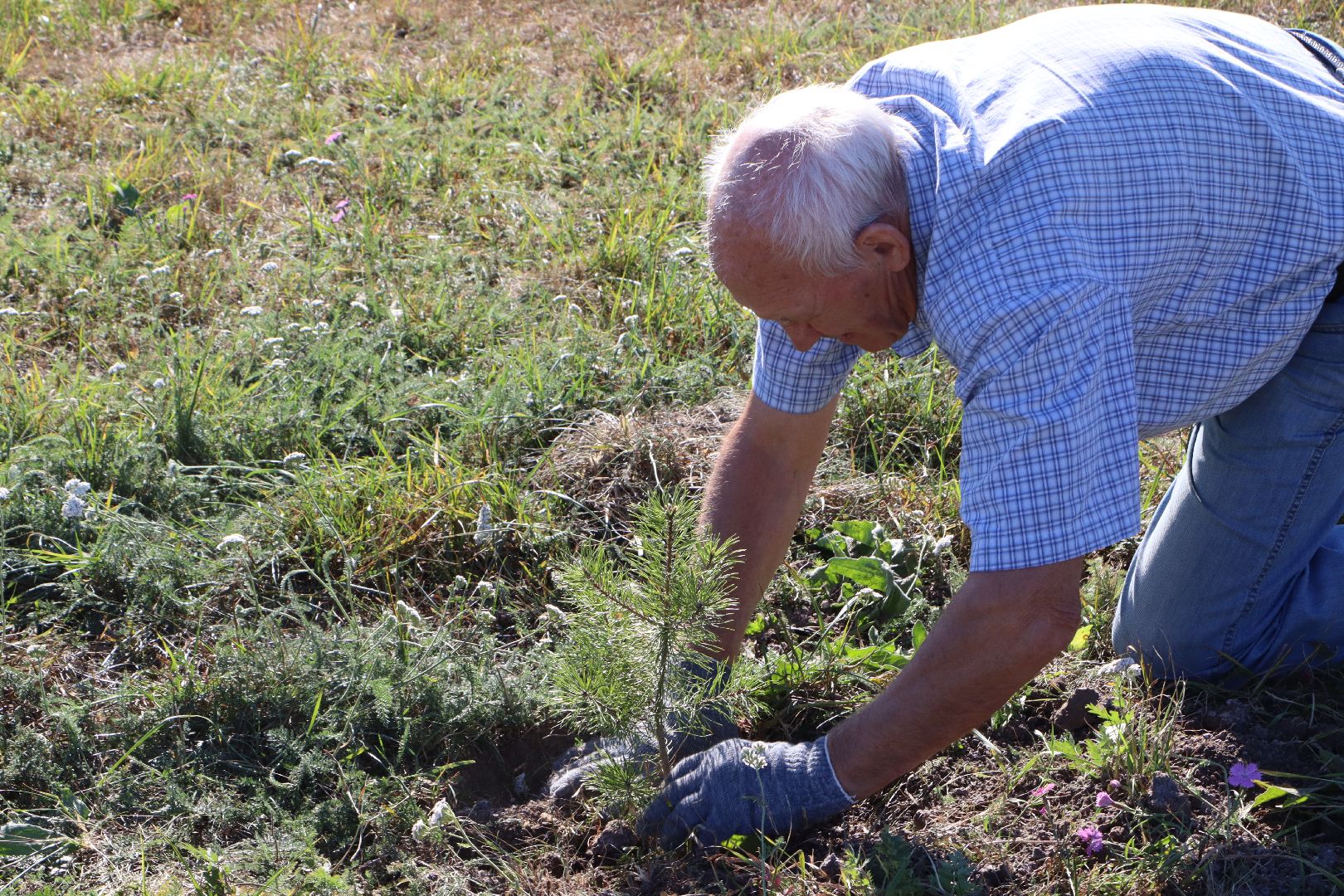 Парк Серебряный, Серебряные Пруды, День в лесу, Сохраним лес вместе,