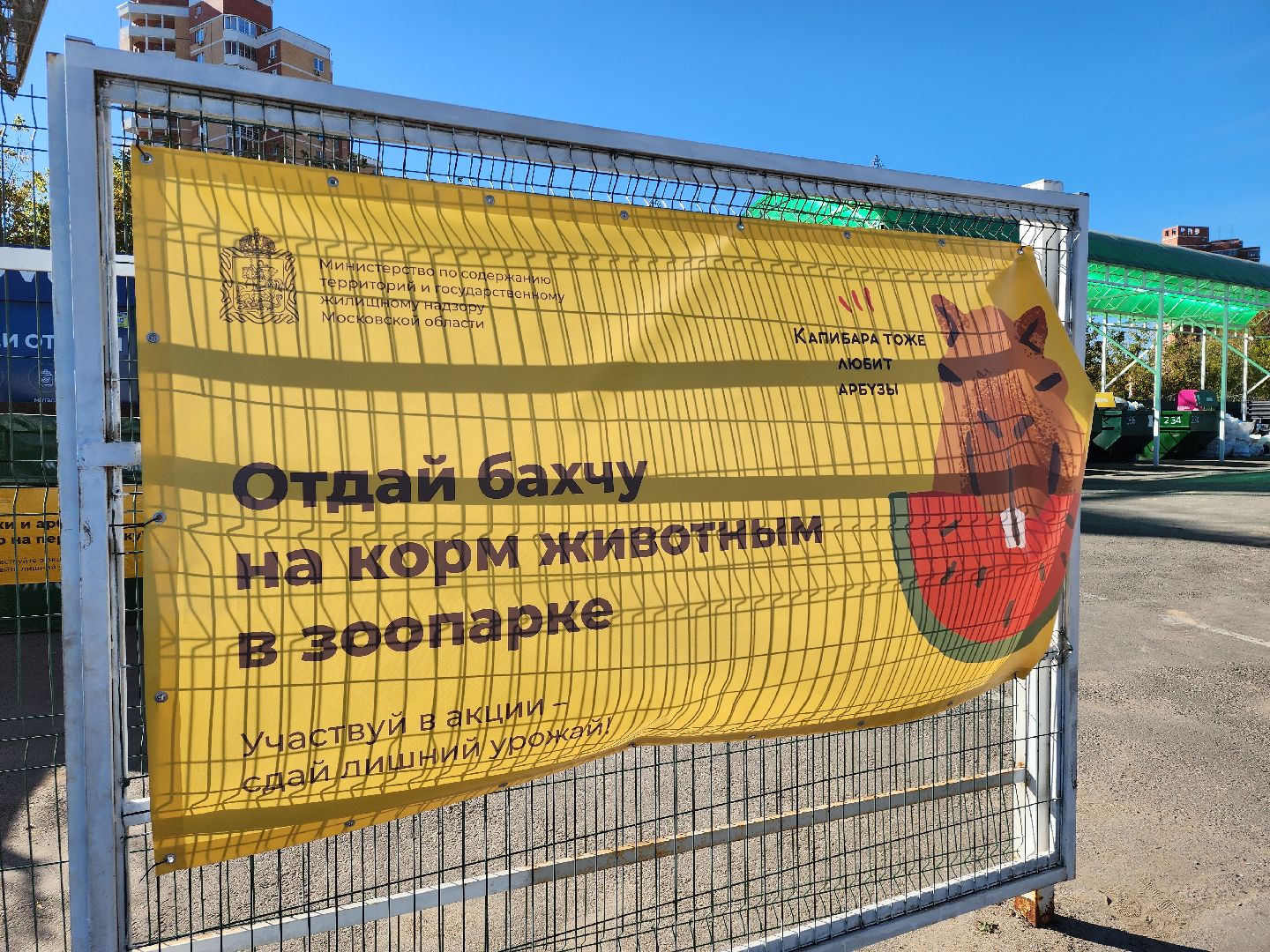 химки, эко, акция, мегабак,