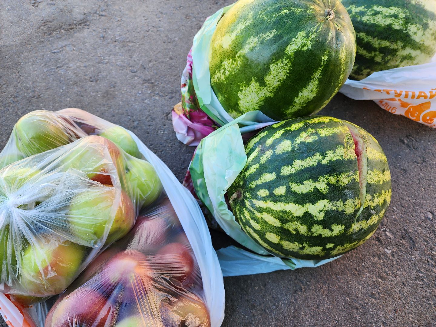 химки, эко, акция, мегабак,