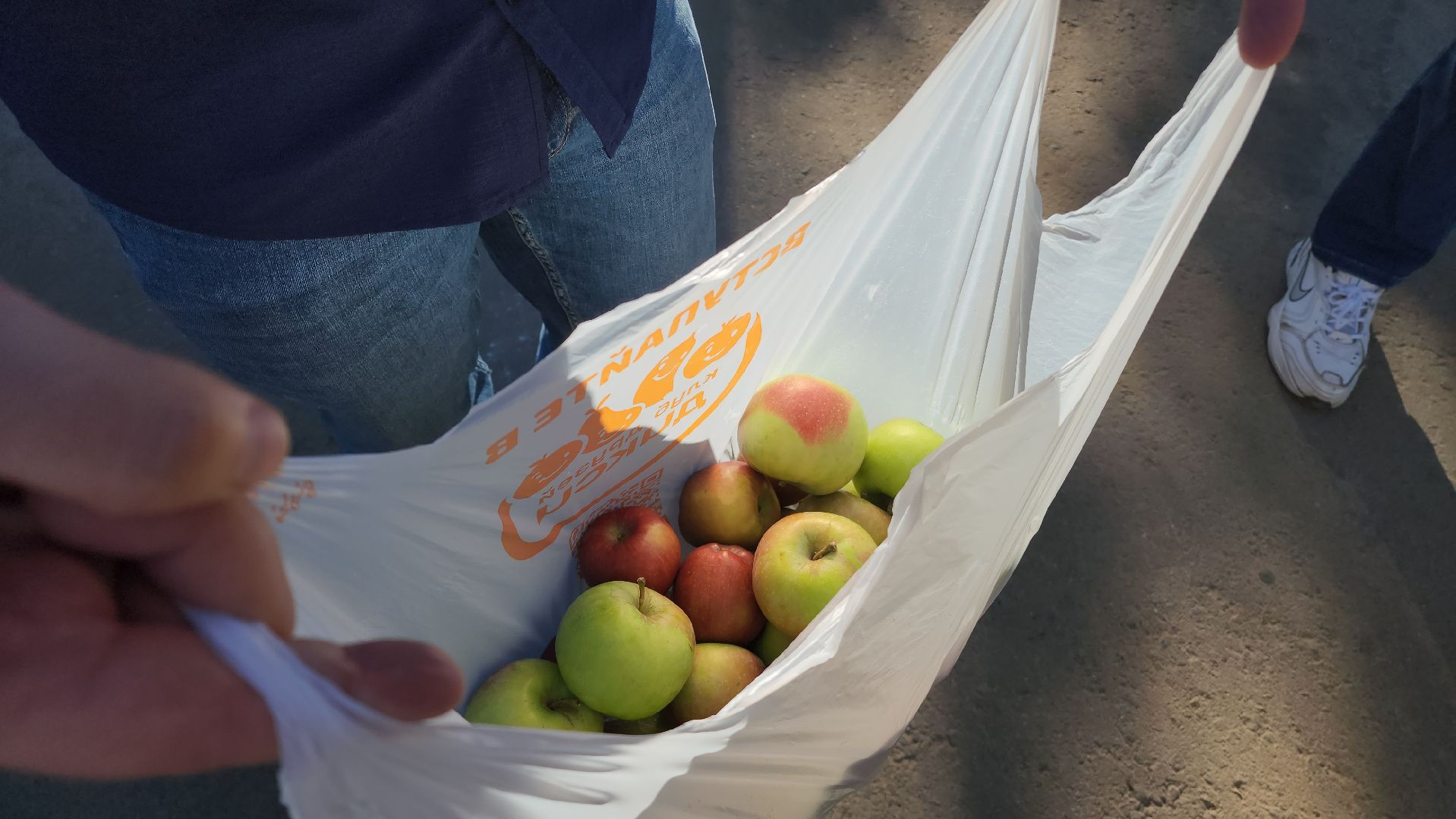 химки, эко, акция, мегабак,