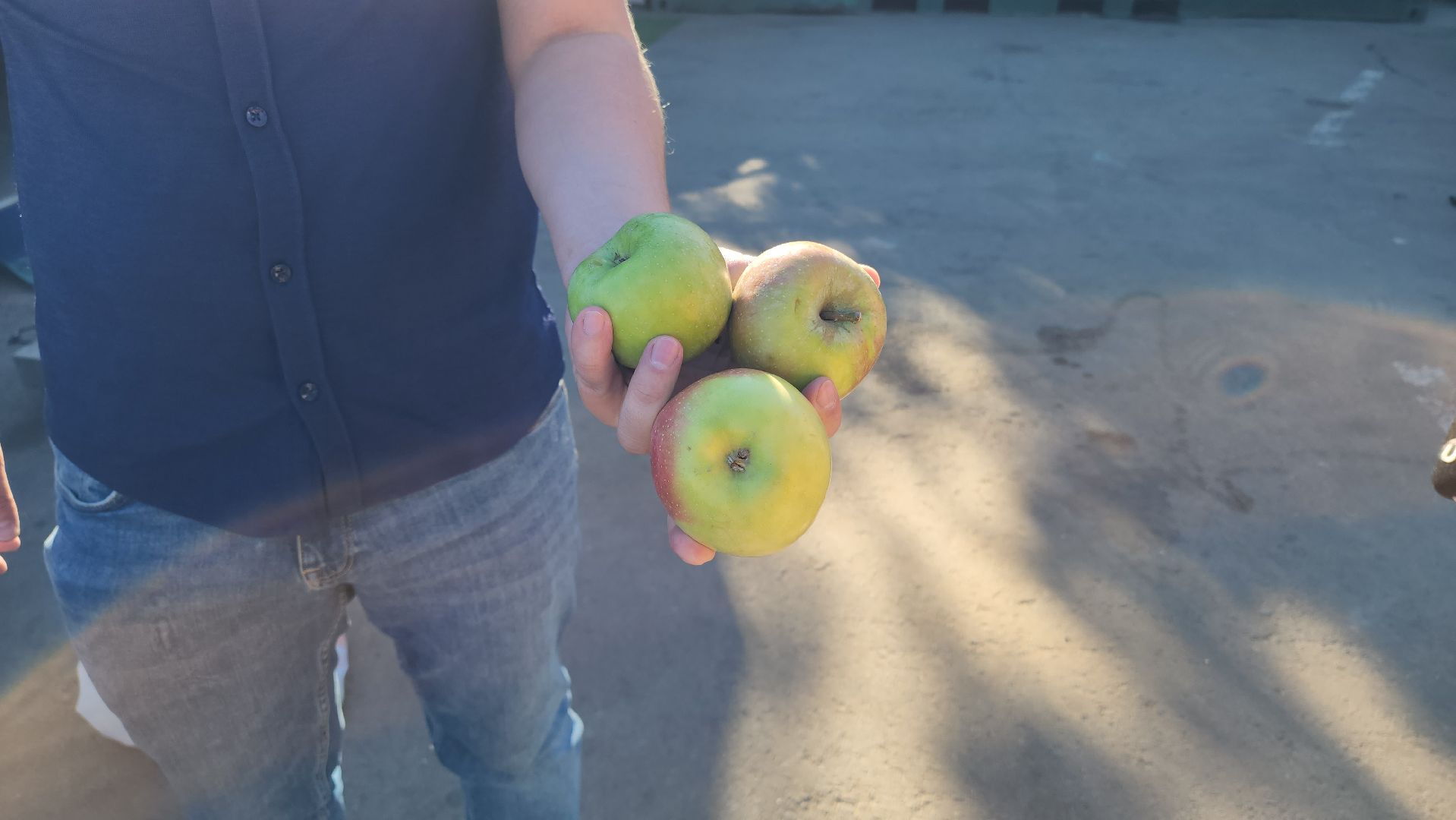 химки, эко, акция, мегабак,