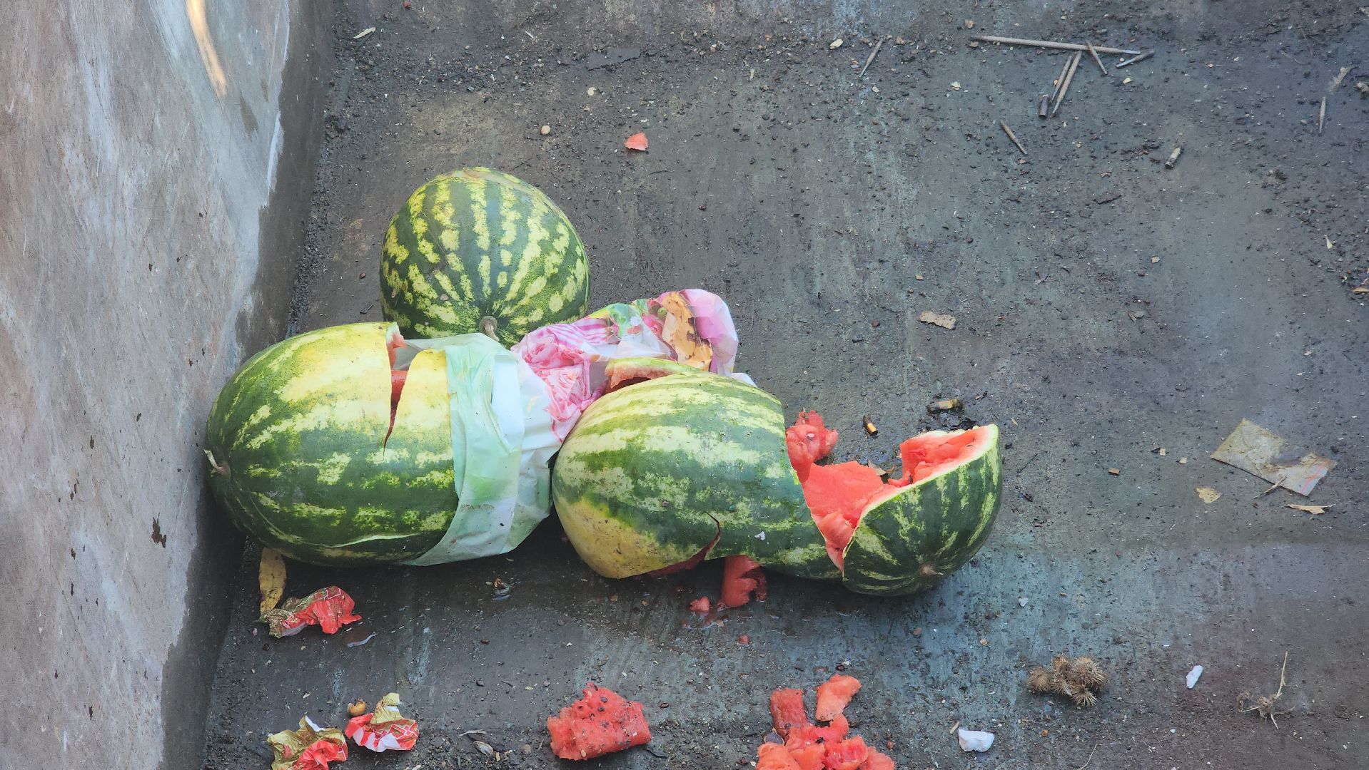 химки, эко, акция, мегабак,