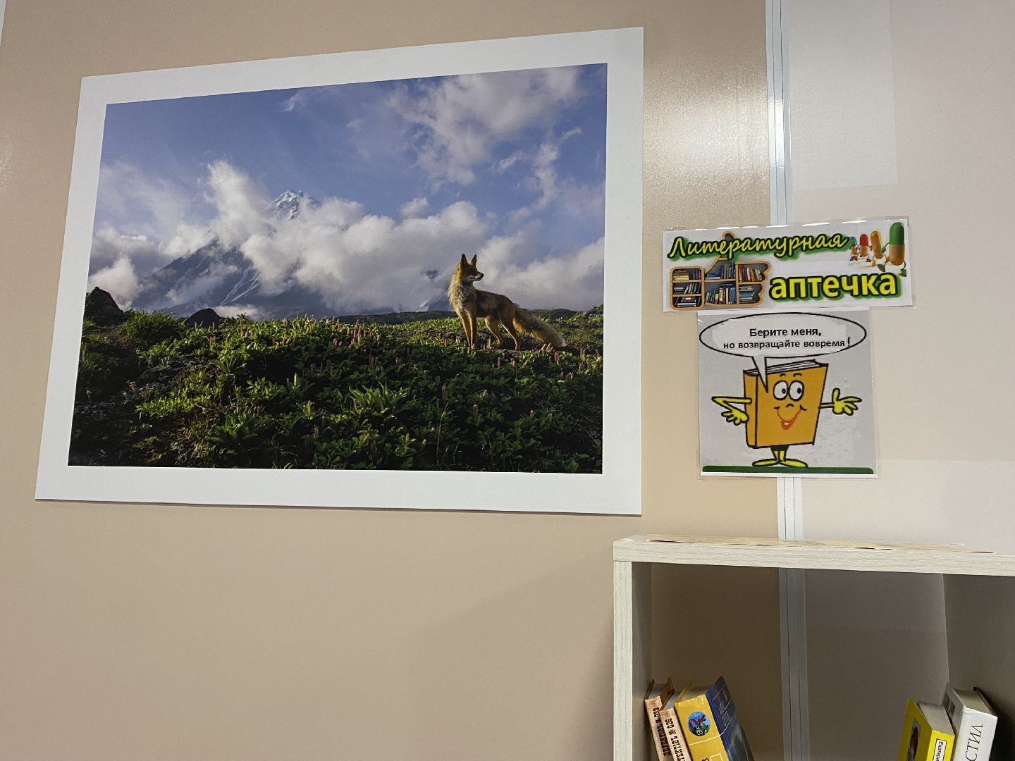 Библиотека, Поликлиника, Книжные стеллажи,