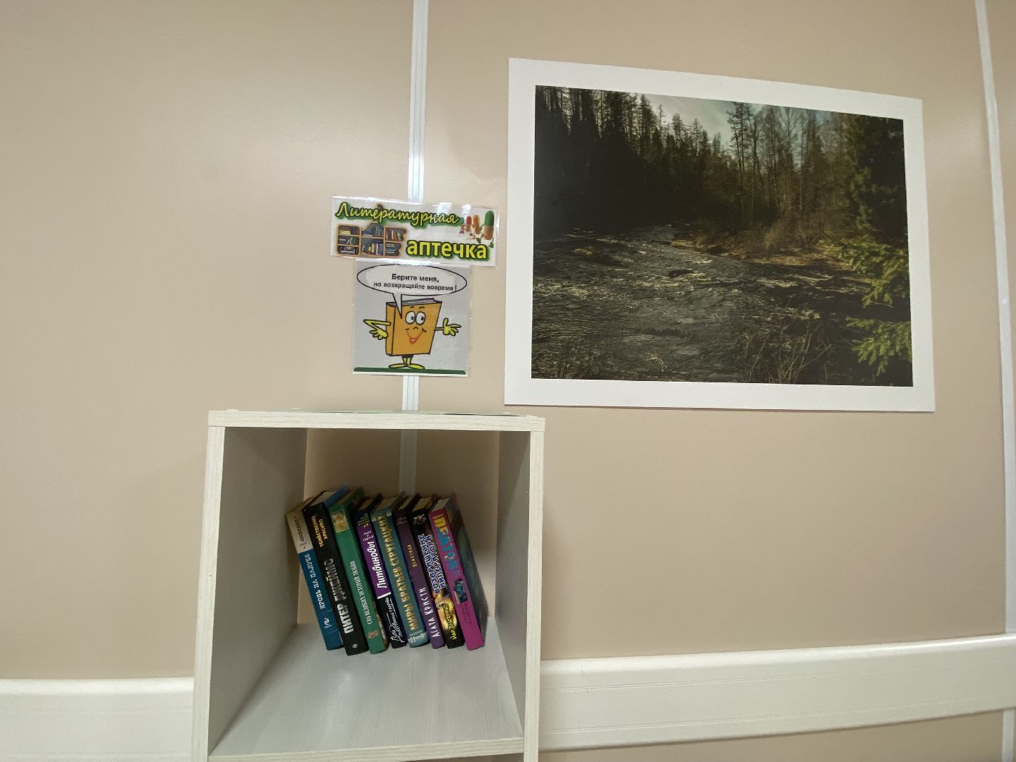 Библиотека, Поликлиника, Книжные стеллажи,