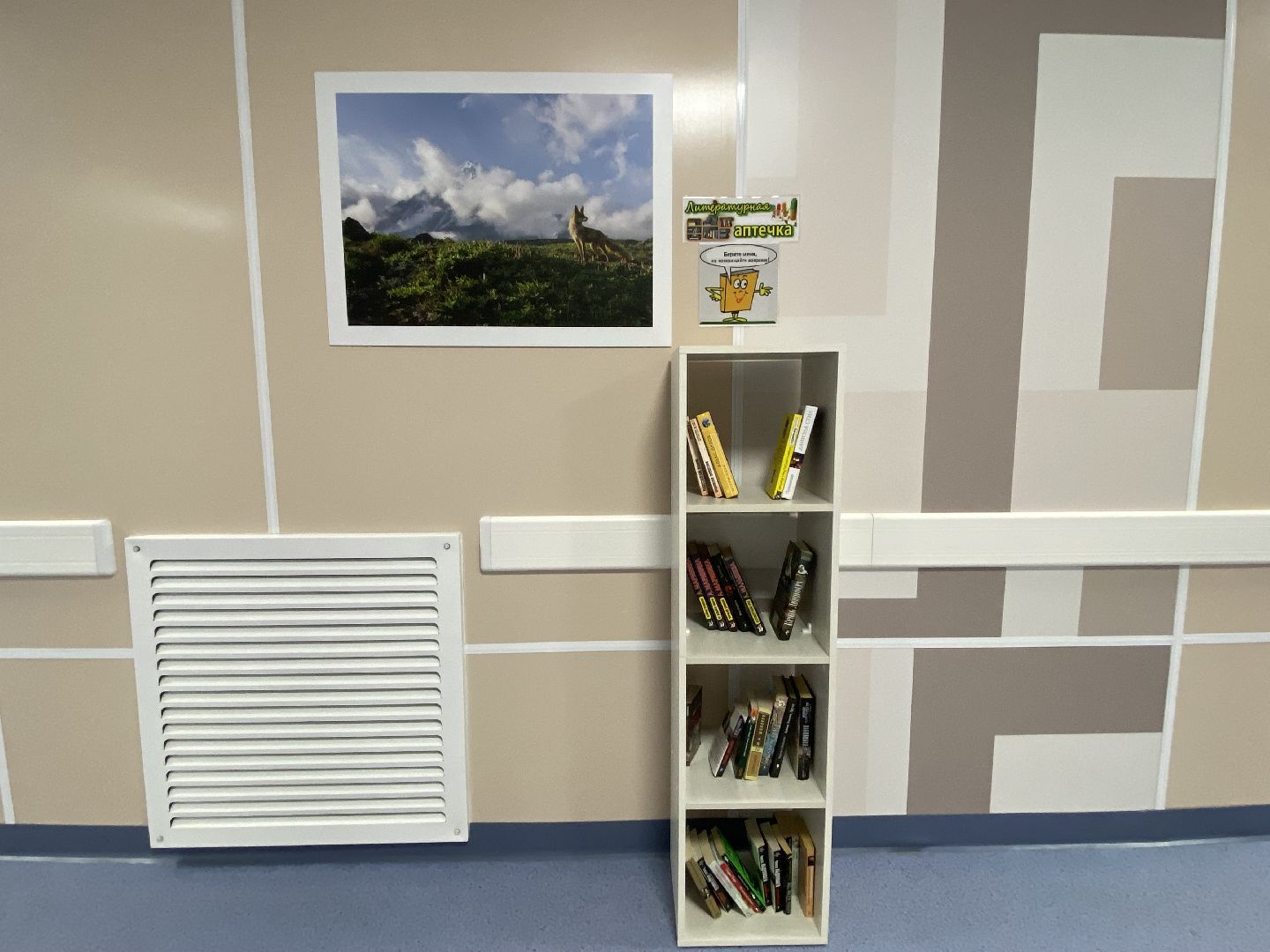 Библиотека, Поликлиника, Книжные стеллажи,