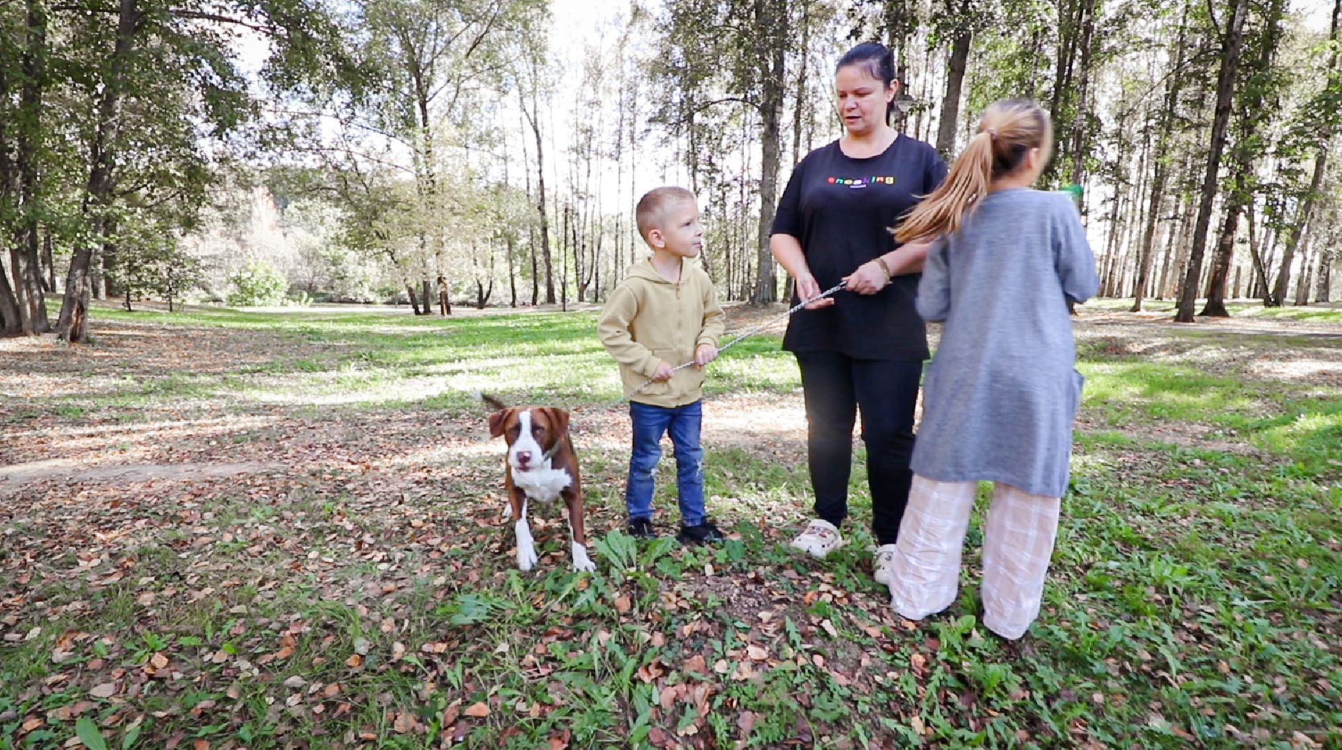 Клин, общество, животные, добрые руки, благотворительная акция,