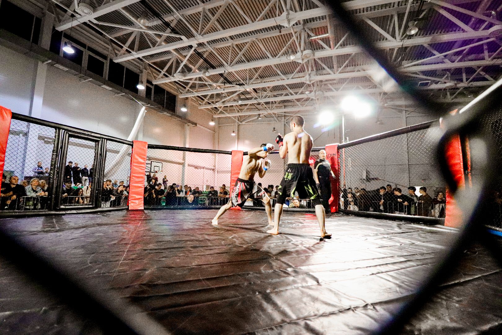 Клин, общество, спорт, единоборства,