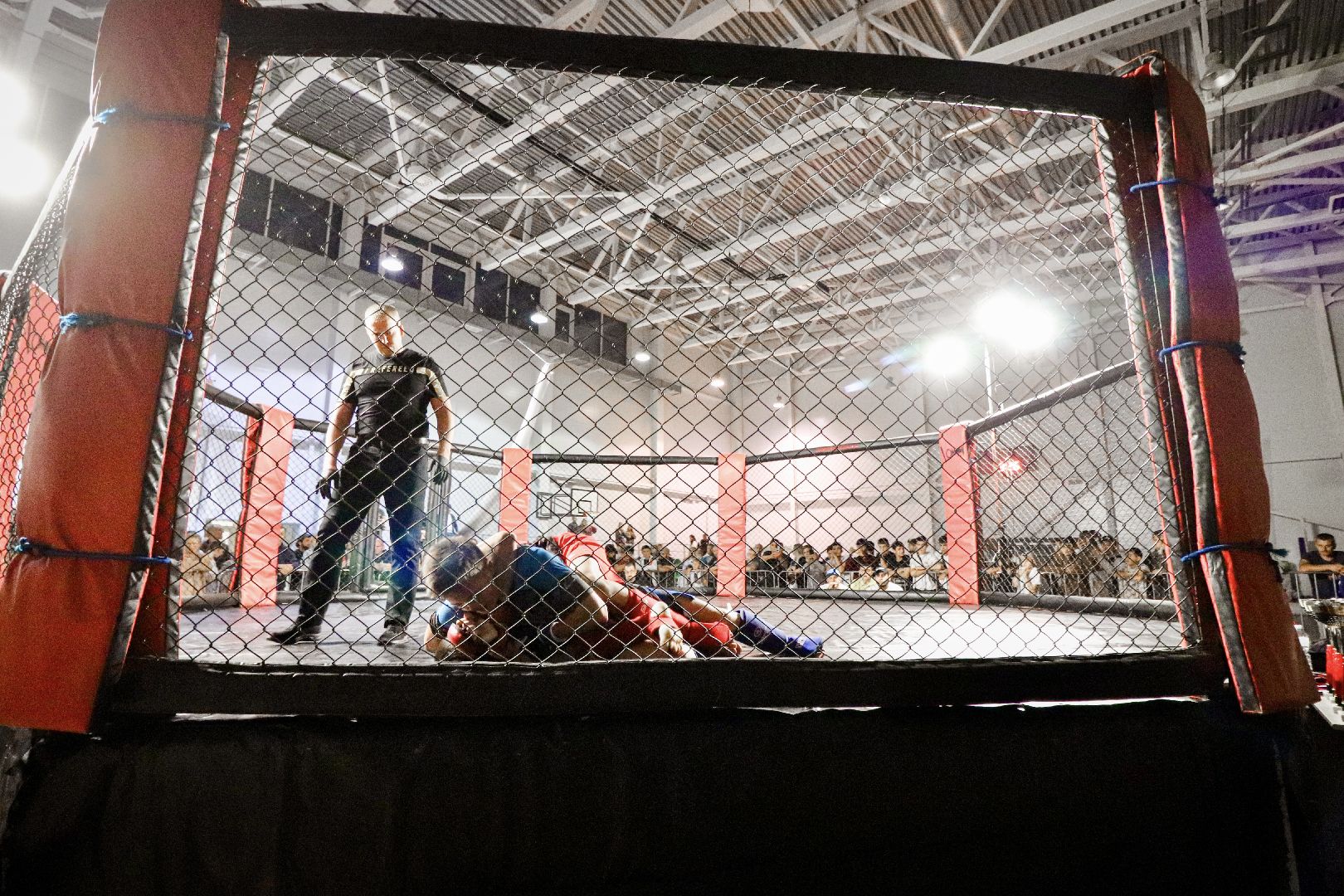 Клин, общество, спорт, единоборства,