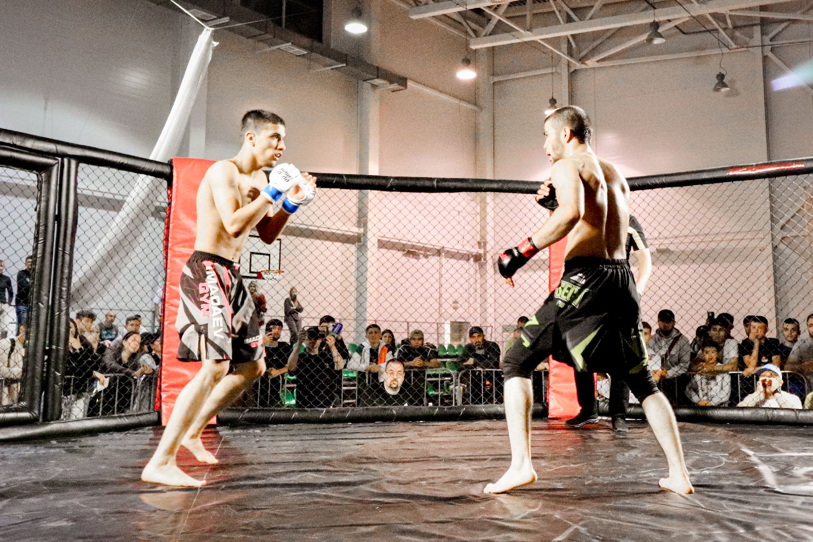 Клин, общество, спорт, единоборства,