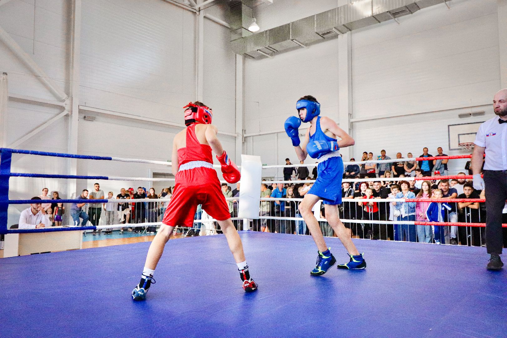 Клин, общество, спорт, единоборства,