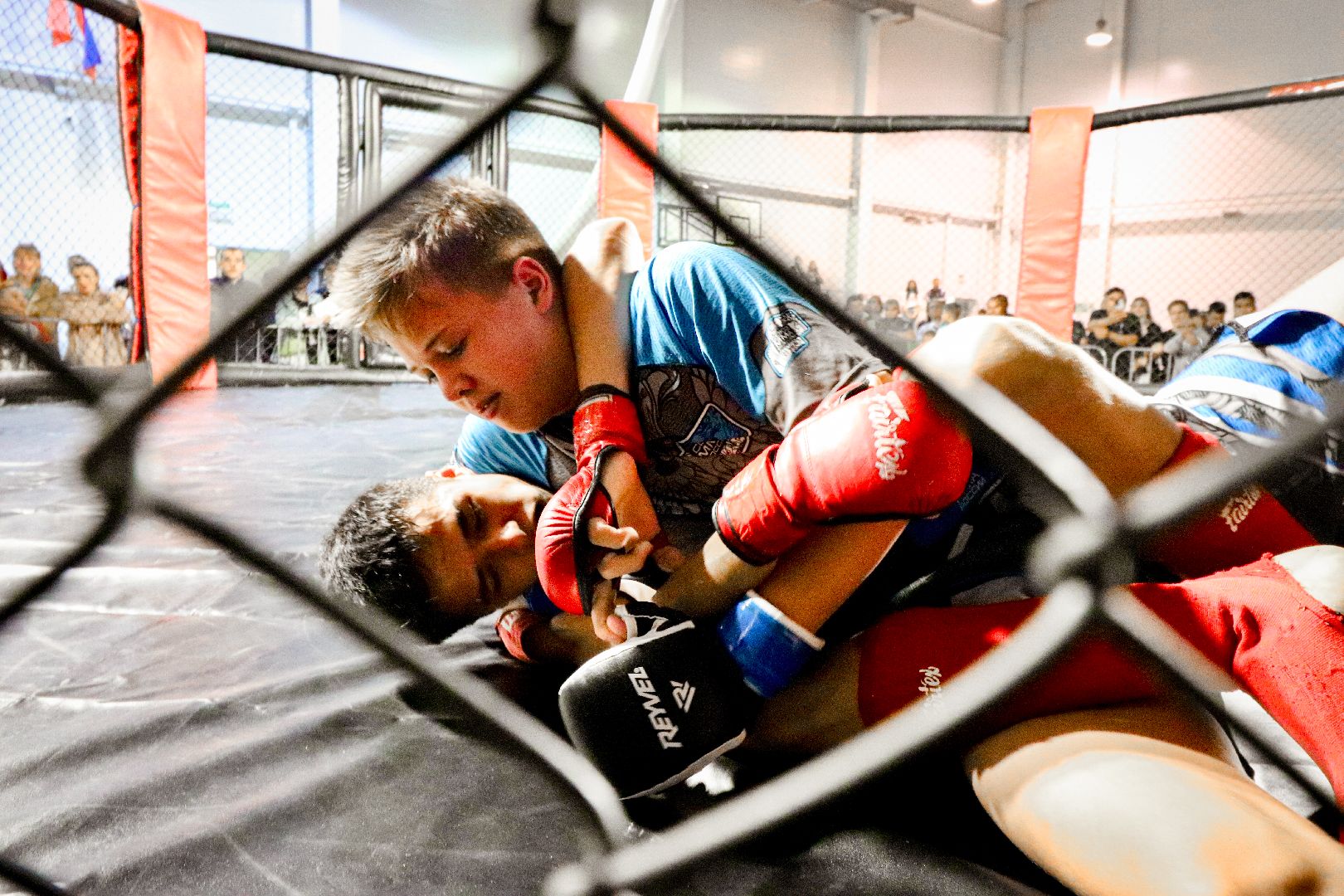 Клин, общество, спорт, единоборства,