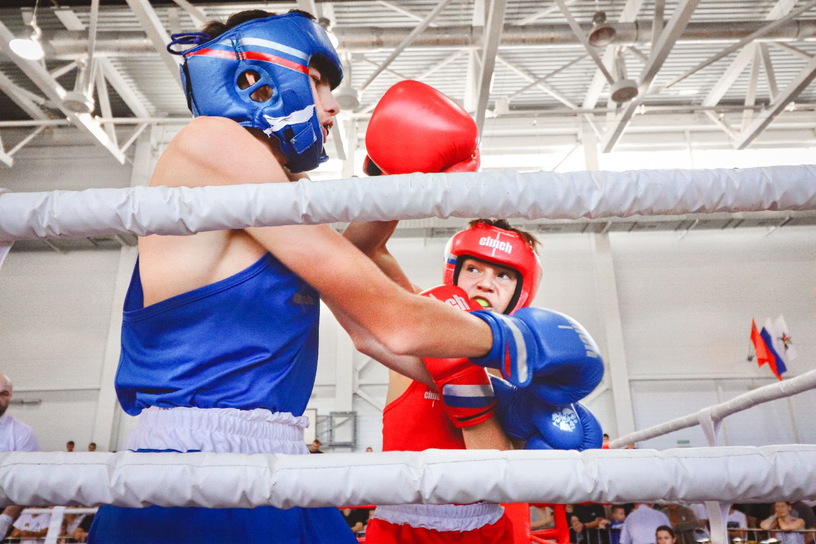 Клин, общество, спорт, единоборства,