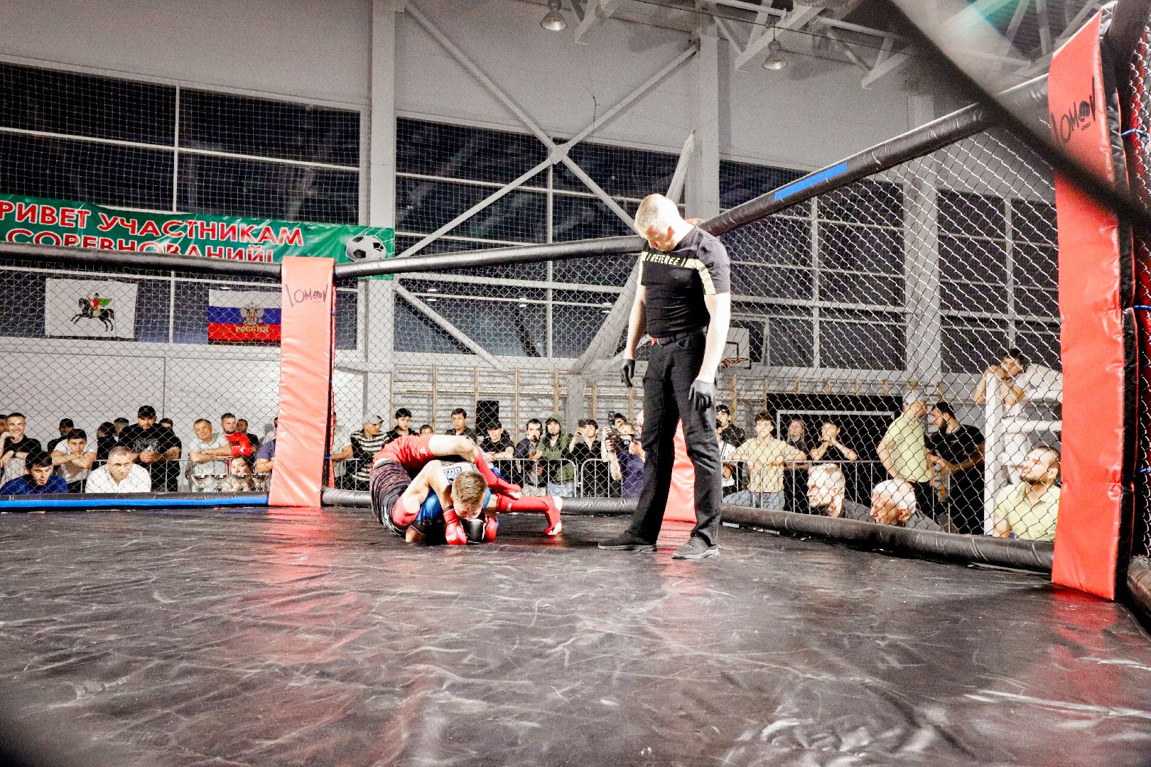 Клин, общество, спорт, единоборства,