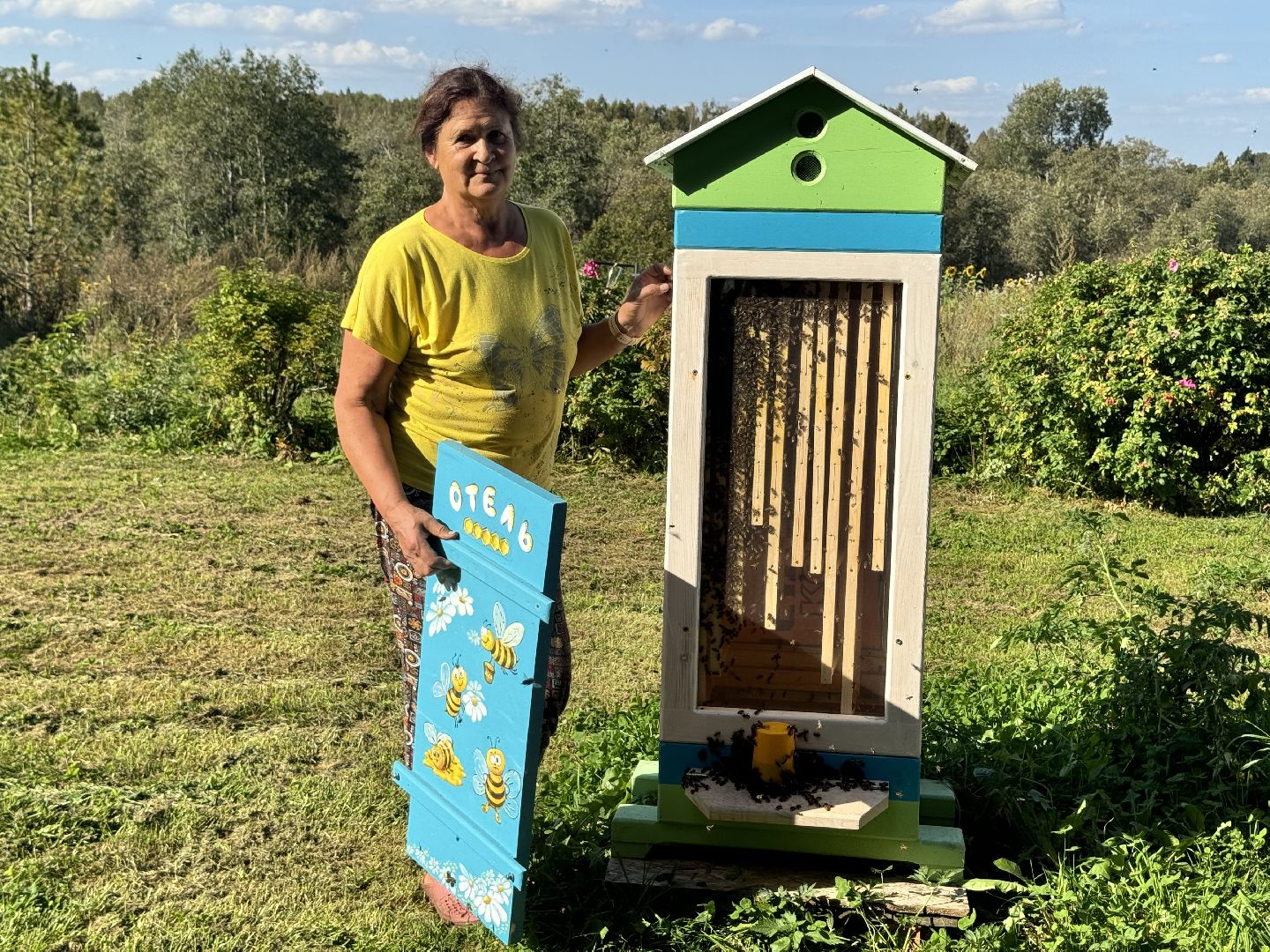 шаховская, мёд, пасека,