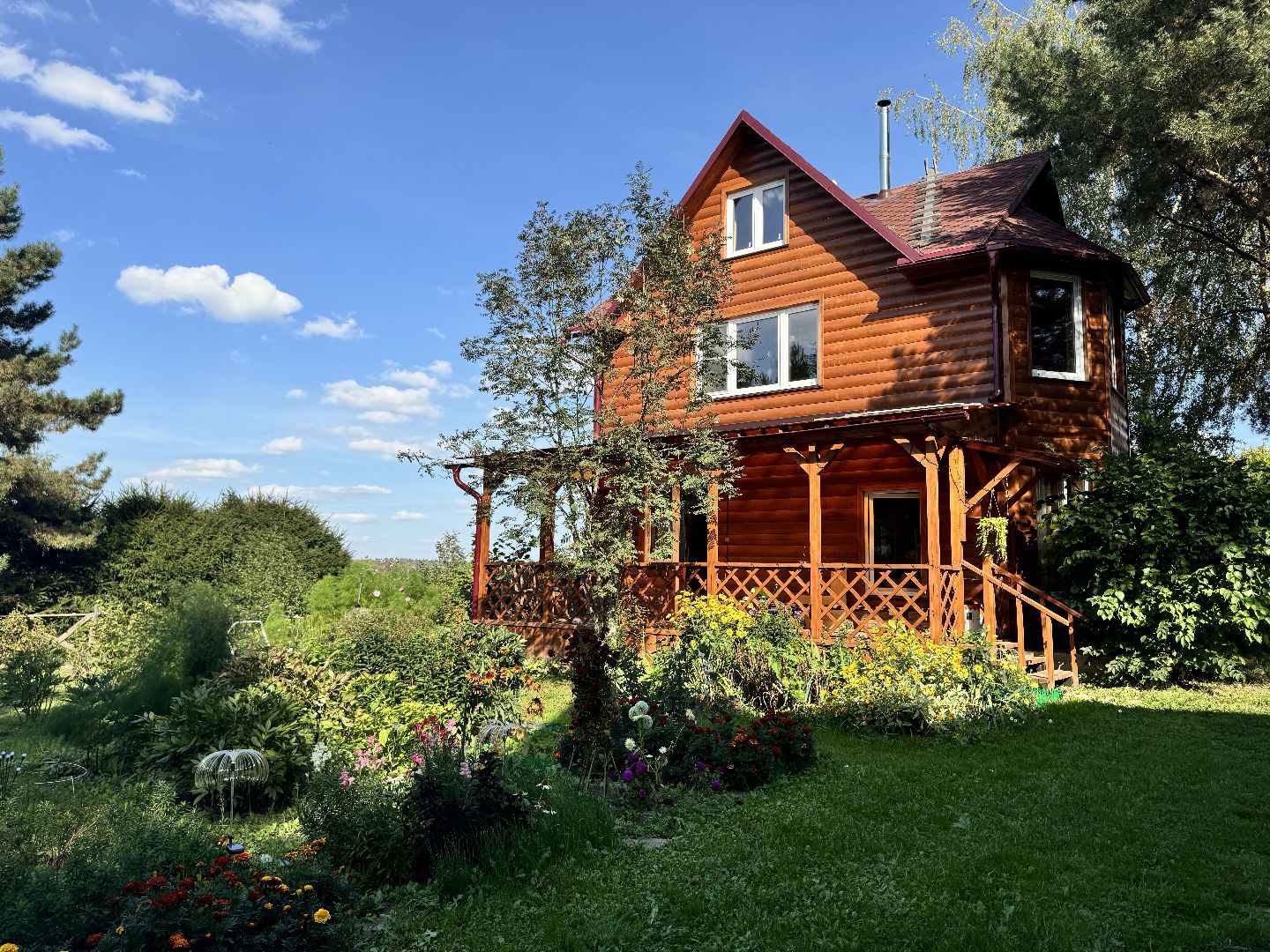 шаховская, мёд, пасека,