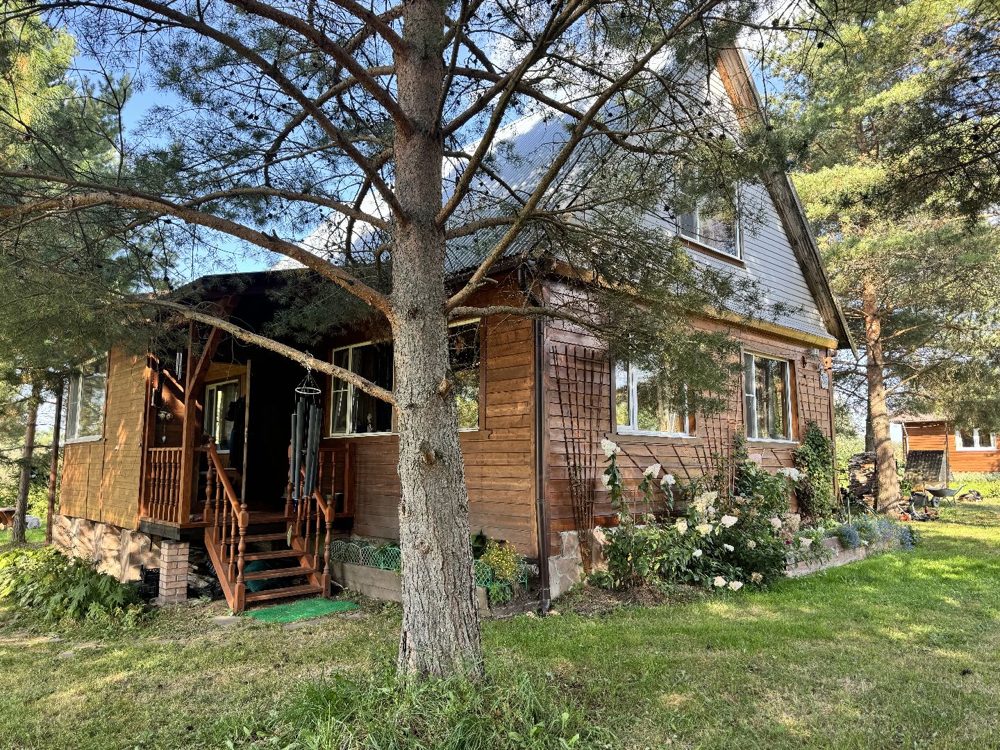 шаховская, мёд, пасека,