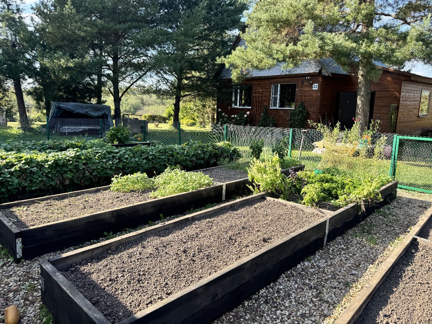 шаховская, мёд, пасека,