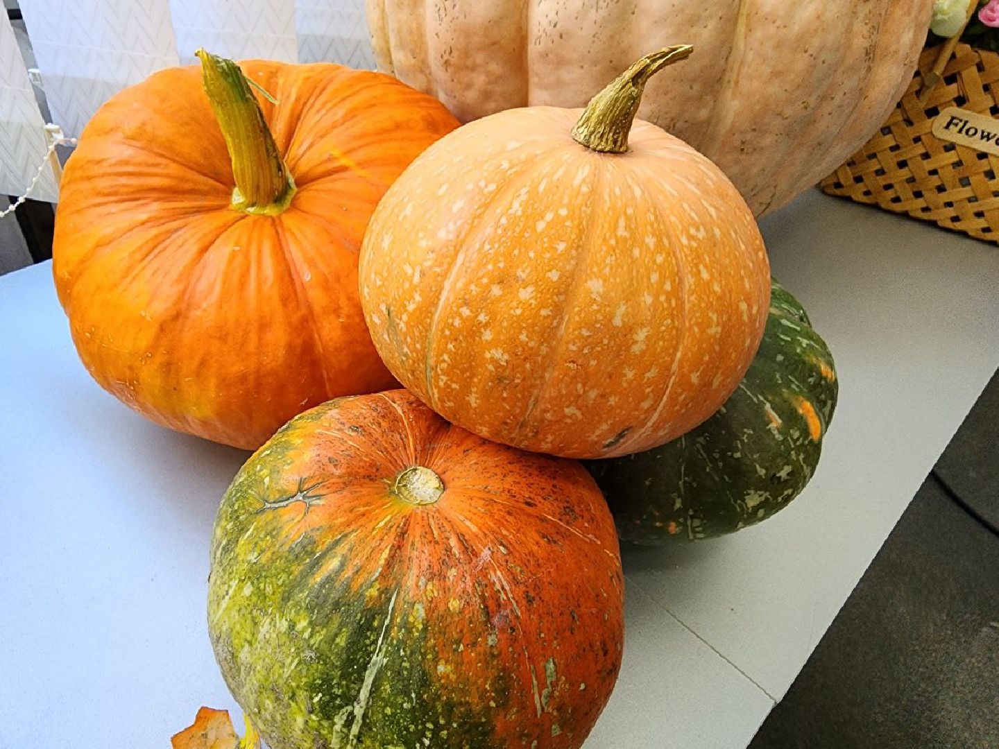 можайск, можайский городской округ, подмосковье, школа фермера, федеральный образовательный проект, агробизнес, фермеры, начинающие фермеры, сельское хозяйство,