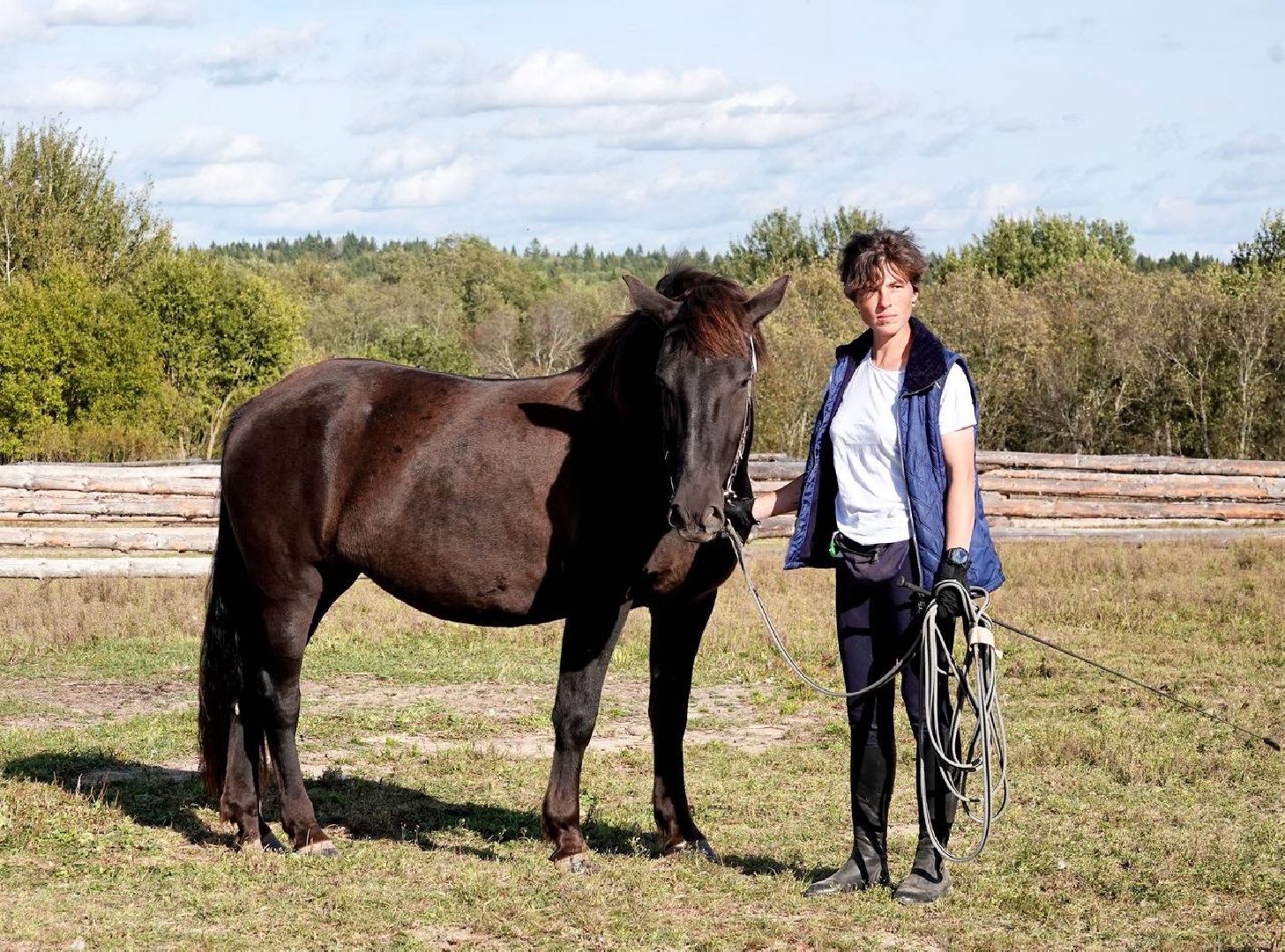 Мезенская лошадь, Животные, Культура, Сельское хозяйство, Сергиев Посад,