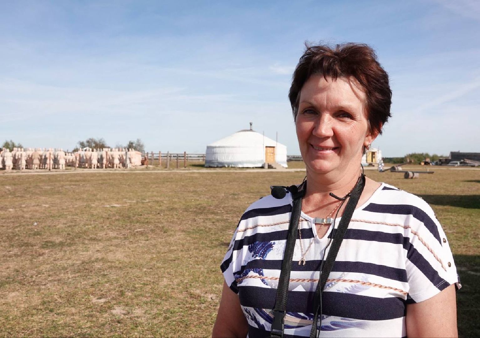 Мезенская лошадь, Животные, Культура, Сельское хозяйство, Сергиев Посад,