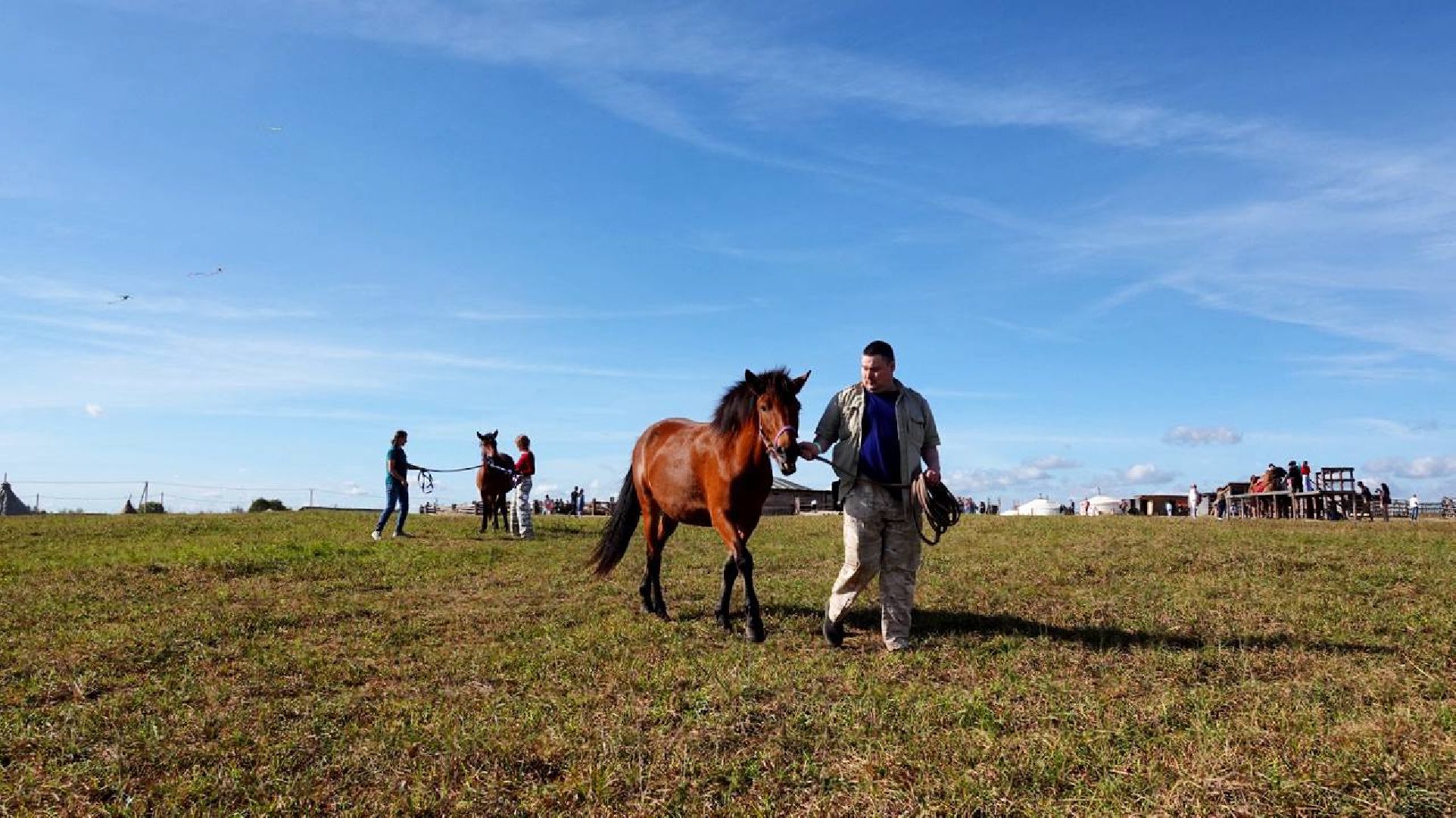Мезенская лошадь, Животные, Культура, Сельское хозяйство, Сергиев Посад,