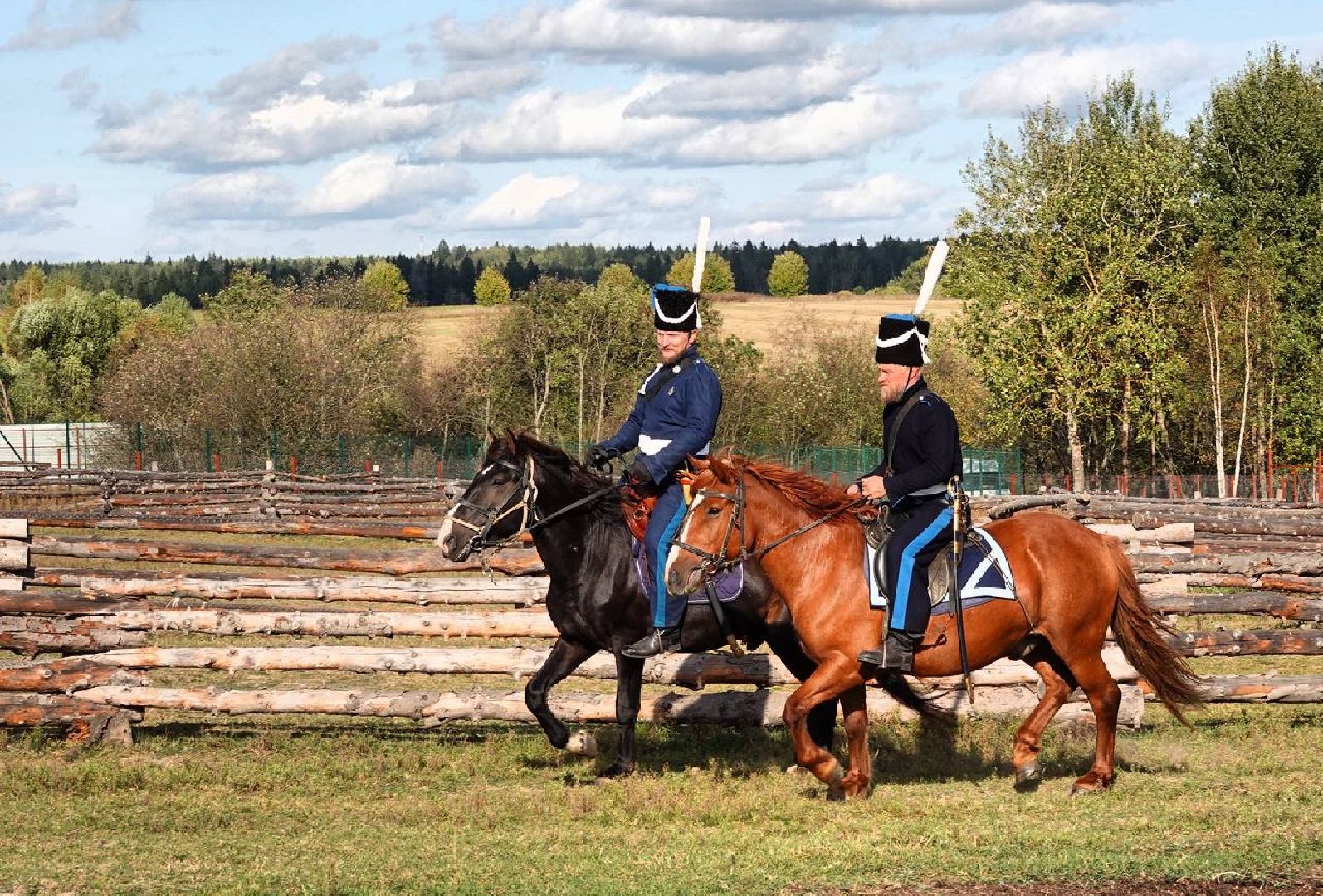Мезенская лошадь, Животные, Культура, Сельское хозяйство, Сергиев Посад,