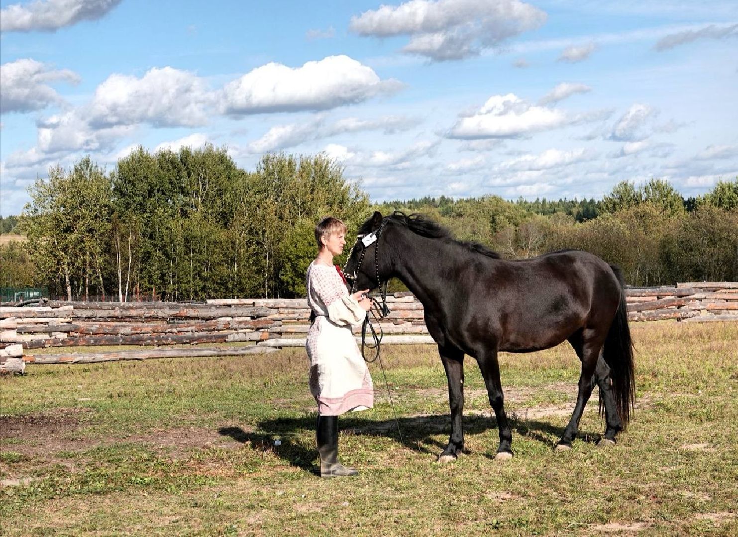 Мезенская лошадь, Животные, Культура, Сельское хозяйство, Сергиев Посад,
