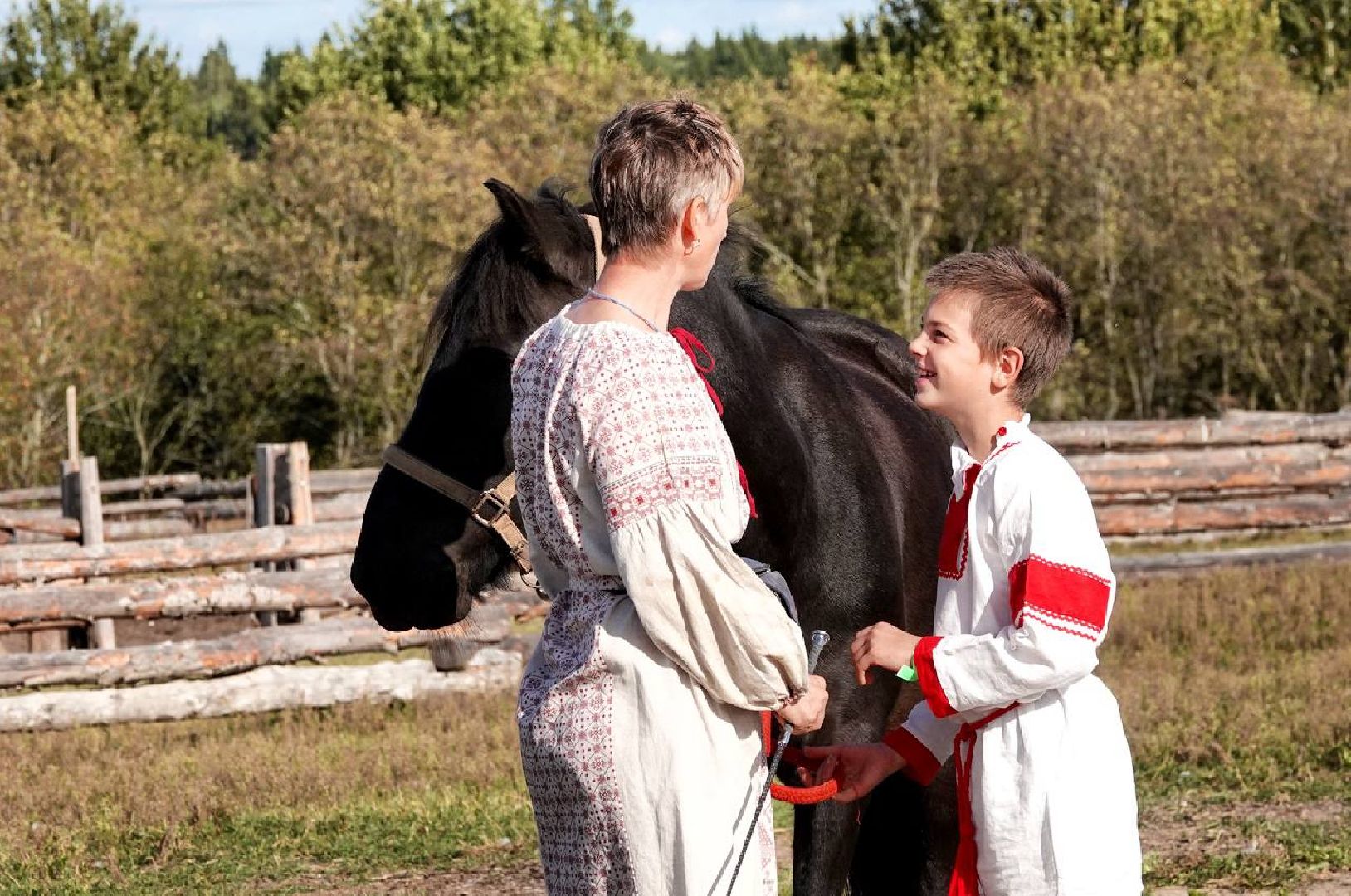Мезенская лошадь, Животные, Культура, Сельское хозяйство, Сергиев Посад,