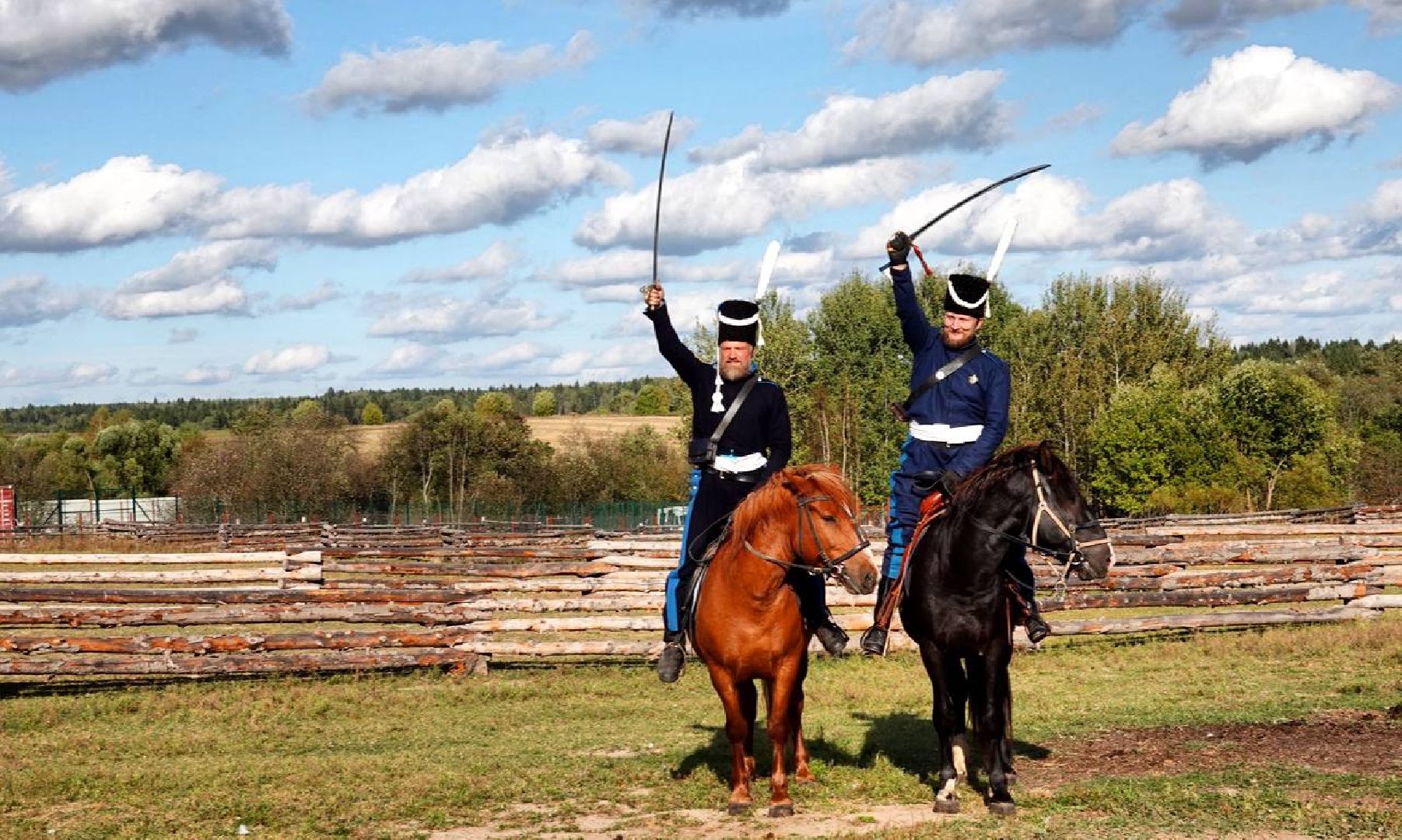 Мезенская лошадь, Животные, Культура, Сельское хозяйство, Сергиев Посад,
