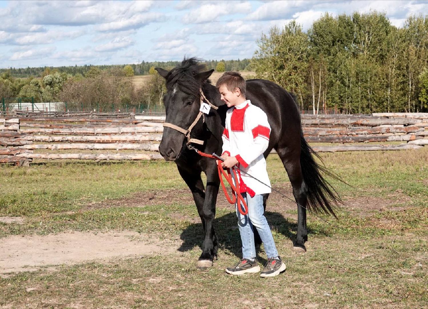 Мезенская лошадь, Животные, Культура, Сельское хозяйство, Сергиев Посад,