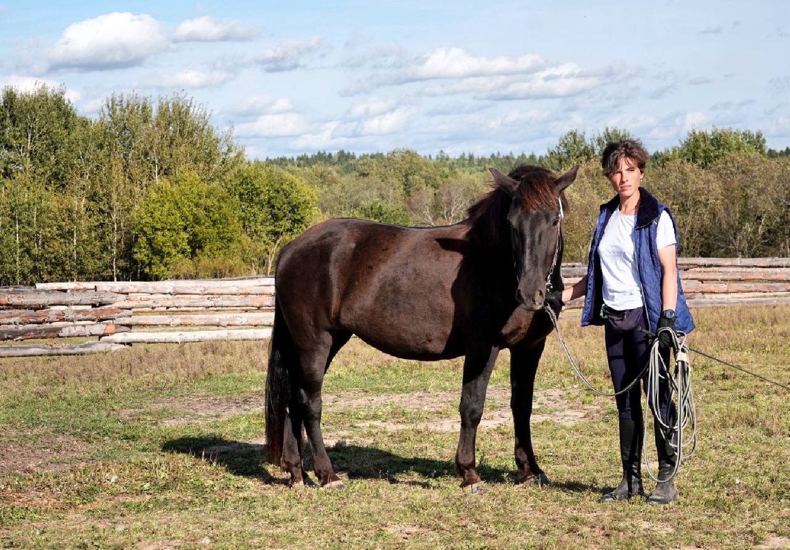 Мезенская лошадь, Животные, Культура, Сельское хозяйство, Сергиев Посад,