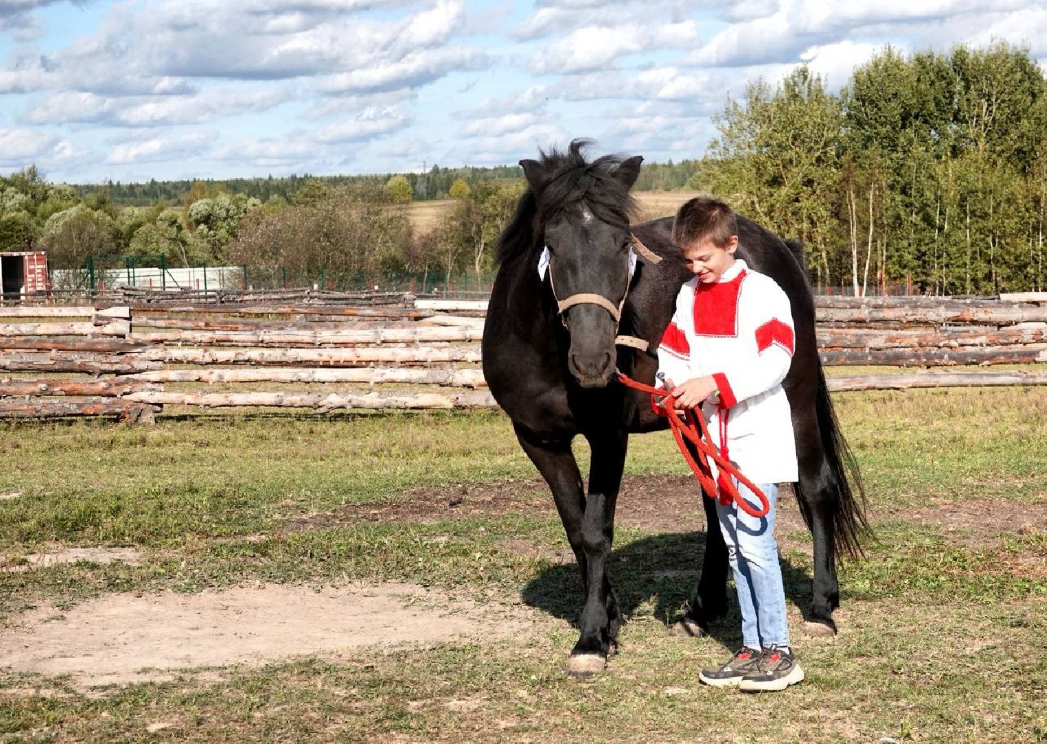 Мезенская лошадь, Животные, Культура, Сельское хозяйство, Сергиев Посад,