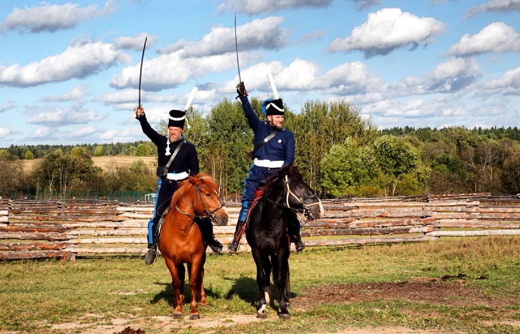 Мезенская лошадь, Животные, Культура, Сельское хозяйство, Сергиев Посад,