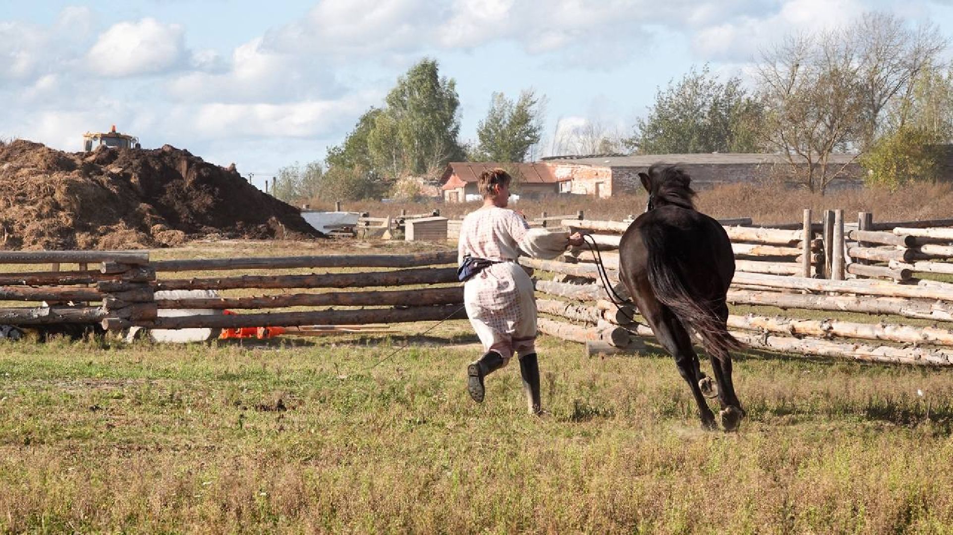Мезенская лошадь, Животные, Культура, Сельское хозяйство, Сергиев Посад,