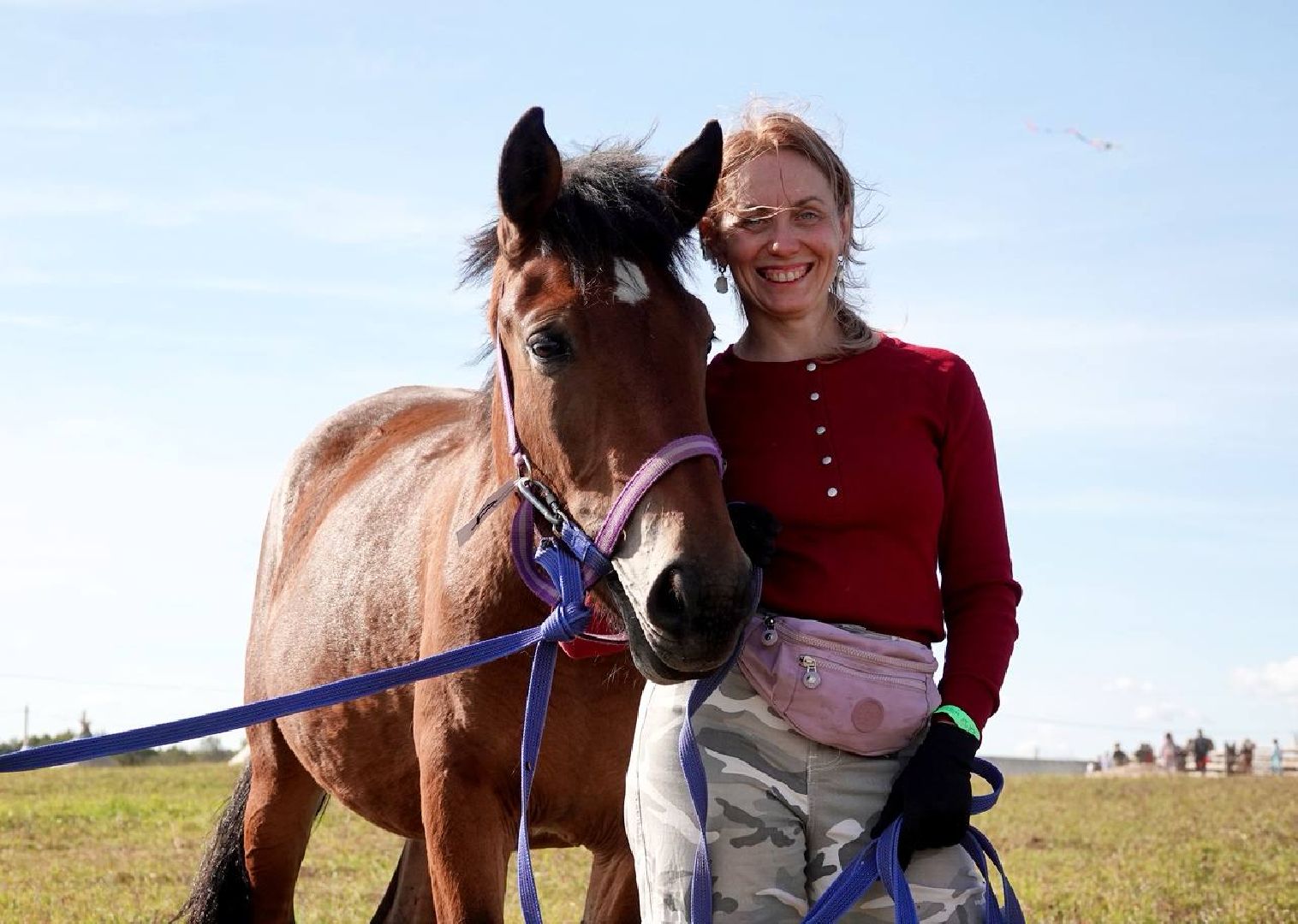 Мезенская лошадь, Животные, Культура, Сельское хозяйство, Сергиев Посад,