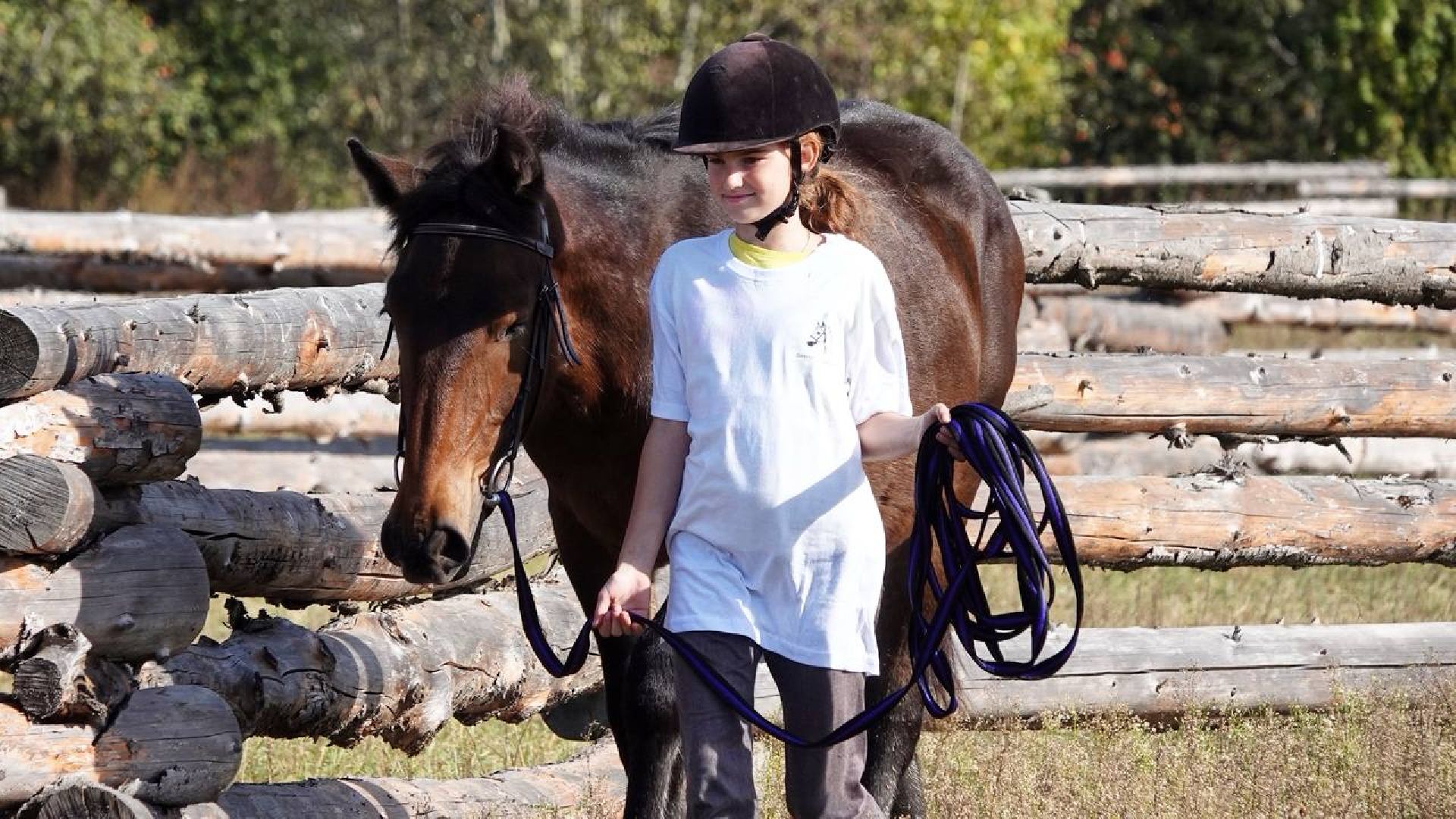 Мезенская лошадь, Животные, Культура, Сельское хозяйство, Сергиев Посад,