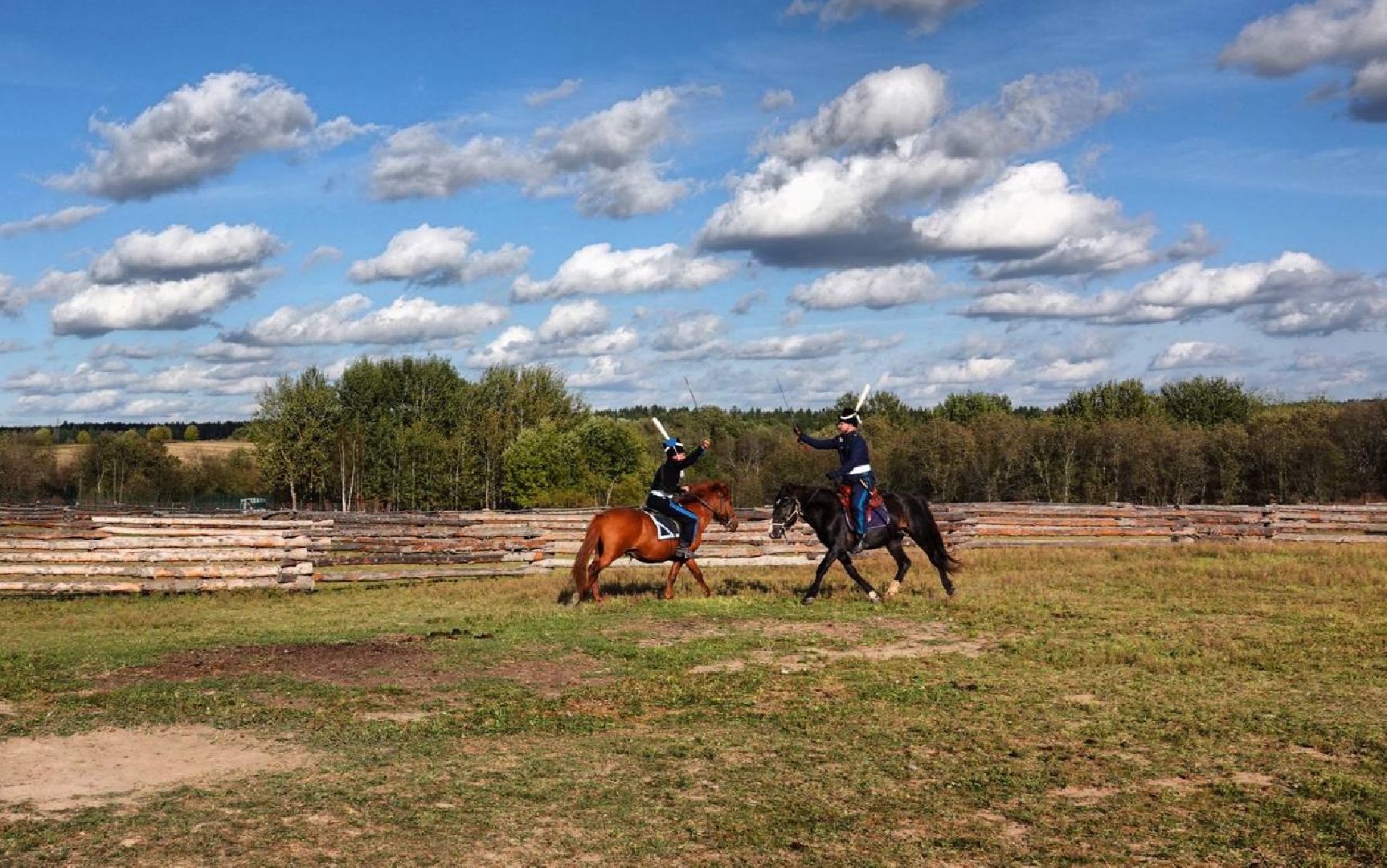Мезенская лошадь, Животные, Культура, Сельское хозяйство, Сергиев Посад,
