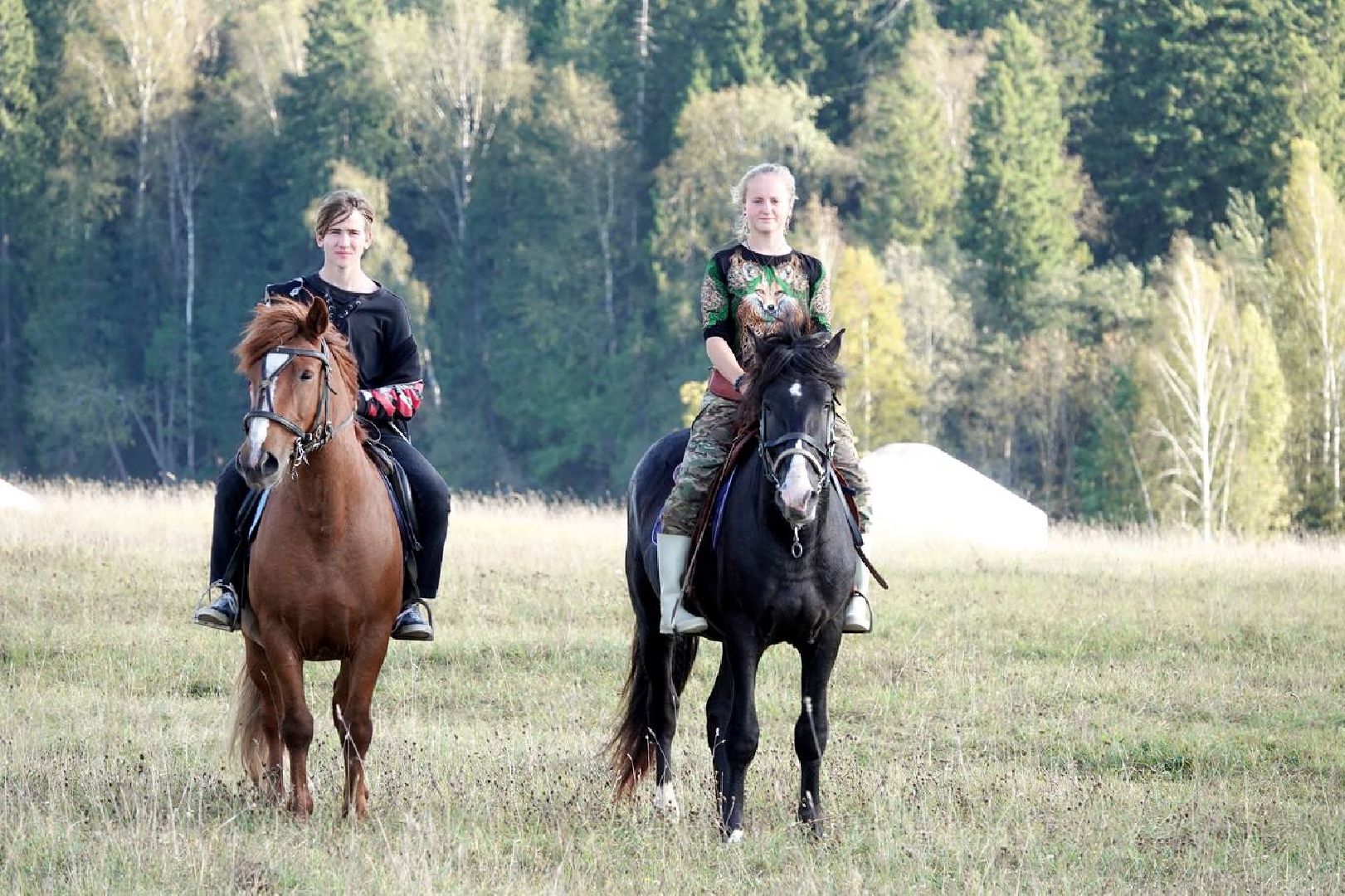 Мезенская лошадь, Животные, Культура, Сельское хозяйство, Сергиев Посад,