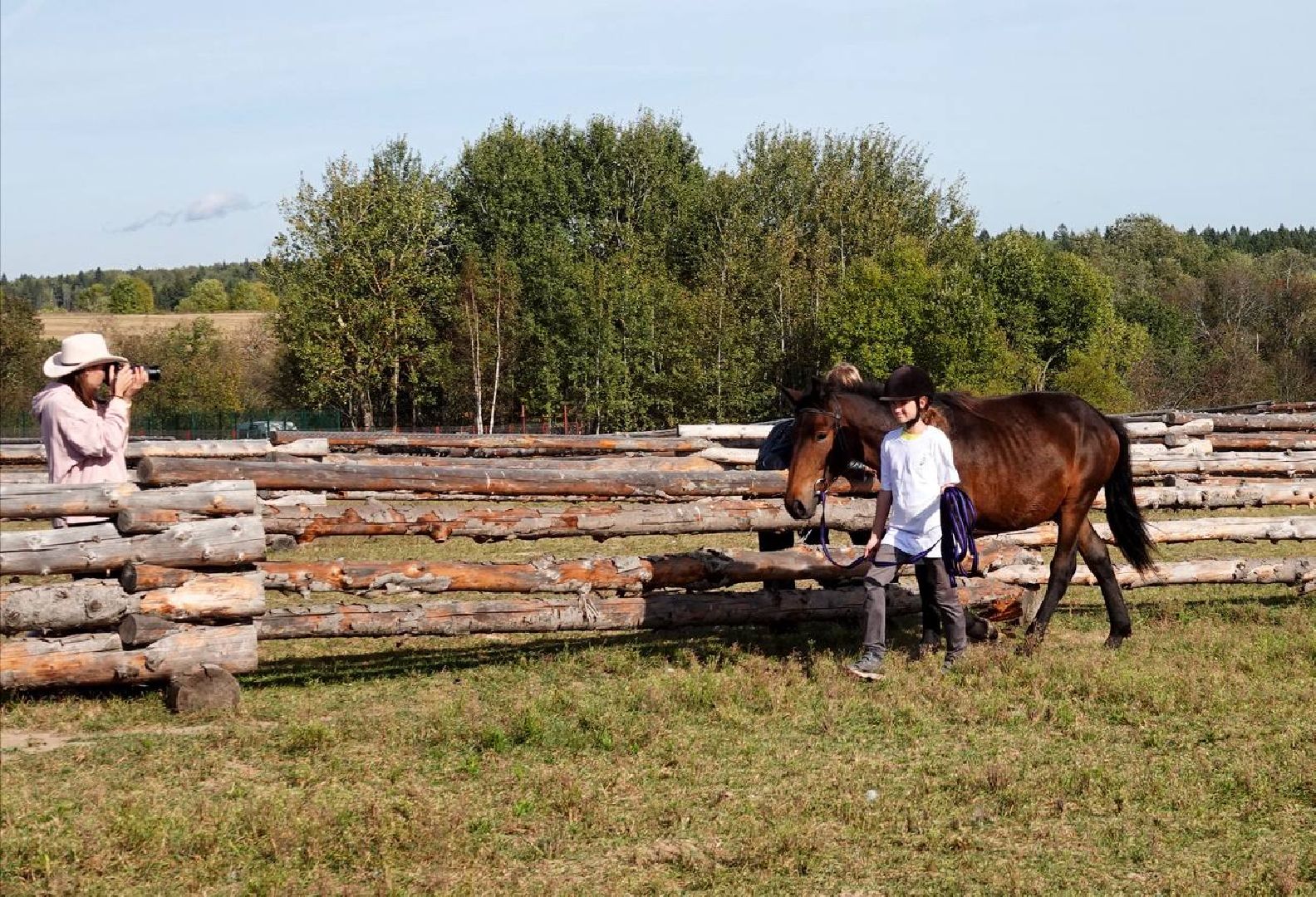 Мезенская лошадь, Животные, Культура, Сельское хозяйство, Сергиев Посад,