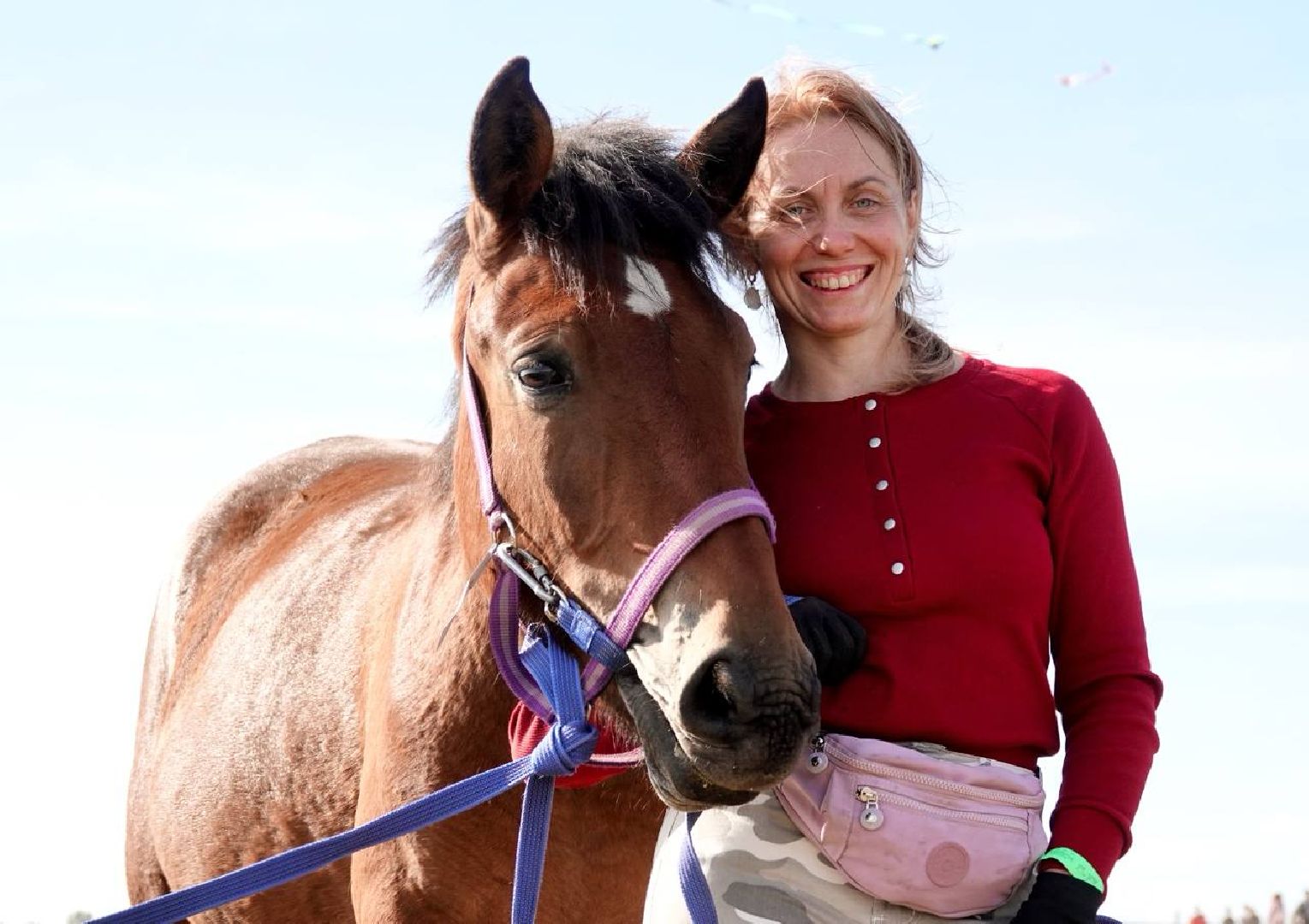 Мезенская лошадь, Животные, Культура, Сельское хозяйство, Сергиев Посад,