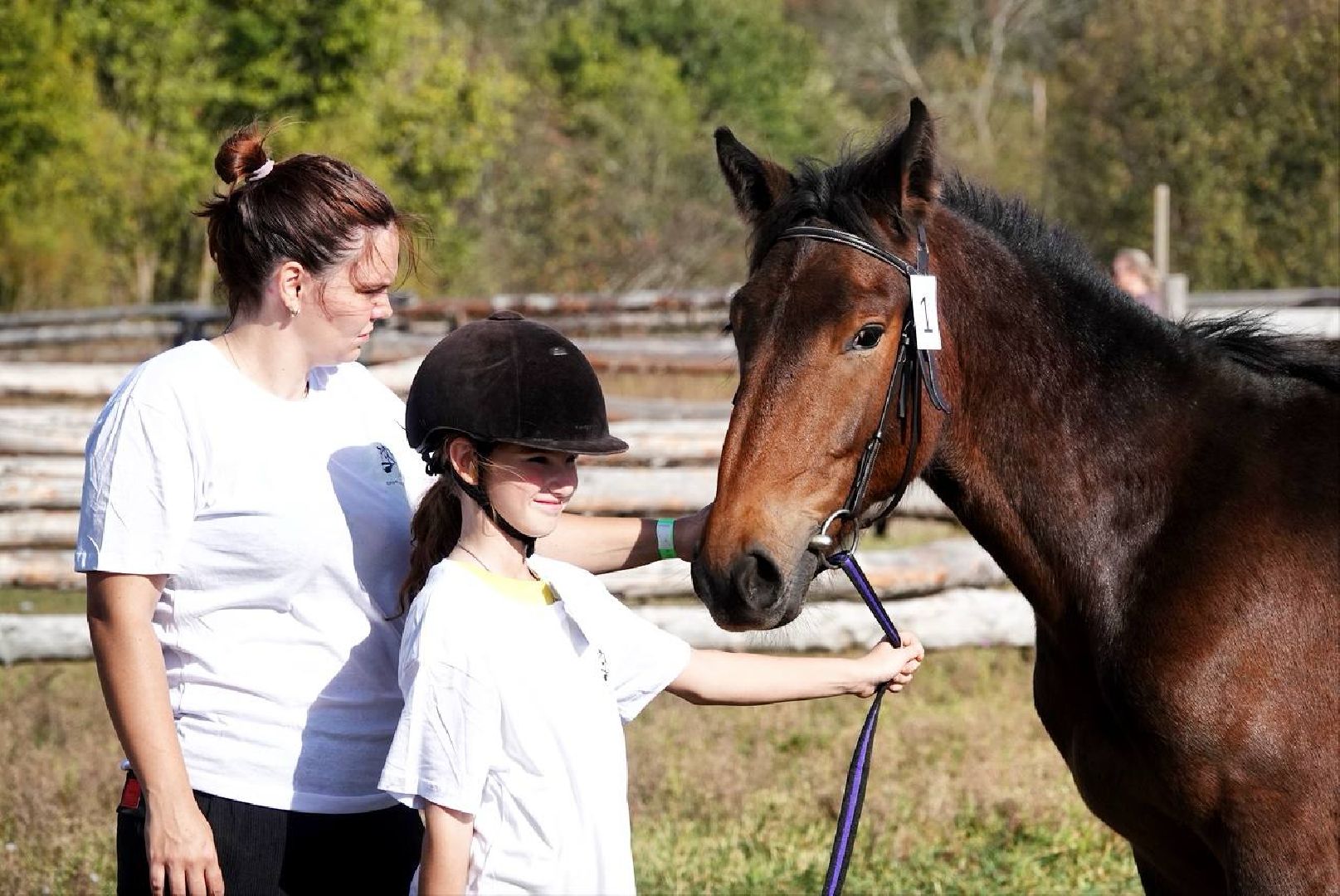 Мезенская лошадь, Животные, Культура, Сельское хозяйство, Сергиев Посад,