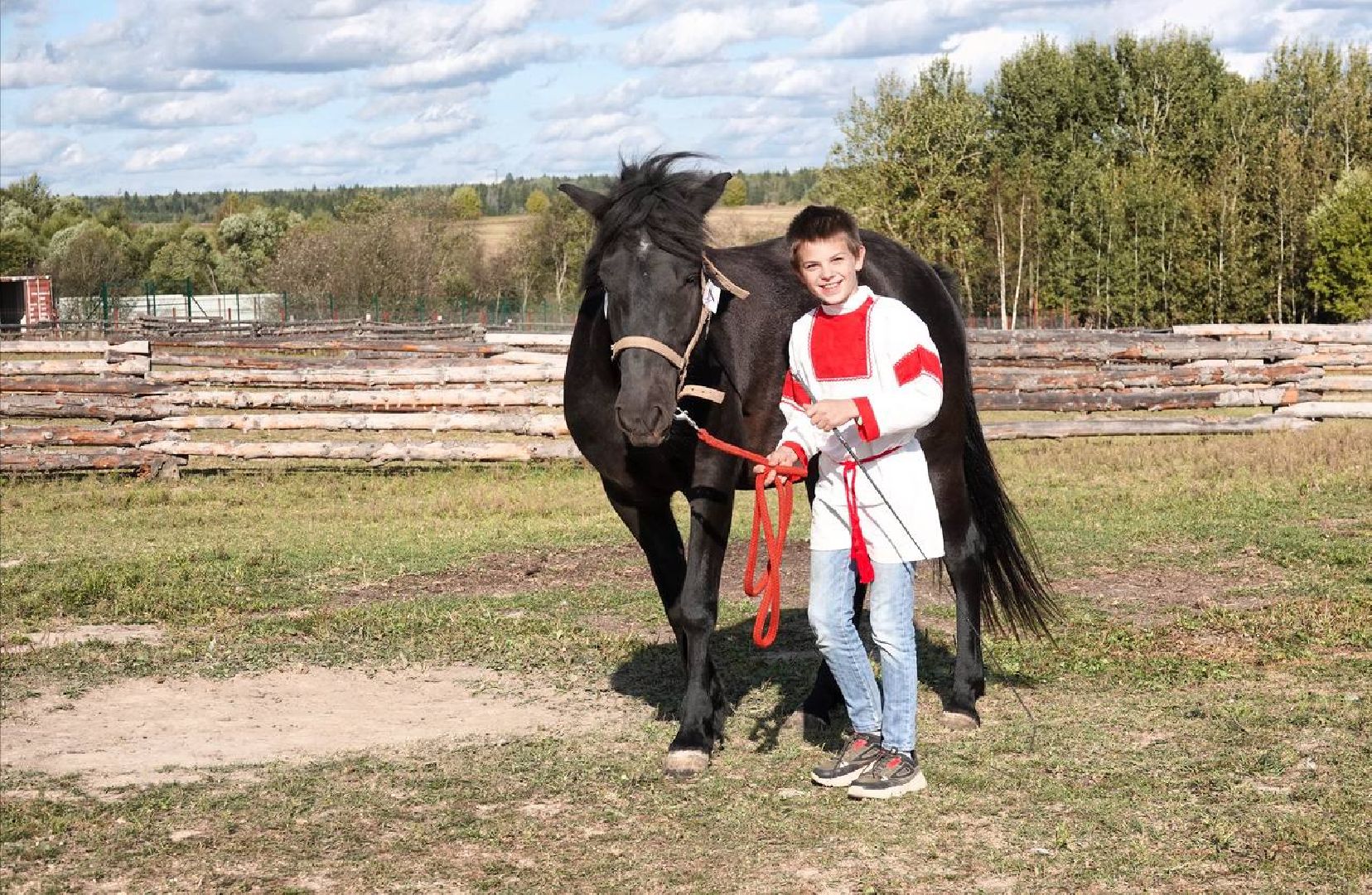 Мезенская лошадь, Животные, Культура, Сельское хозяйство, Сергиев Посад,