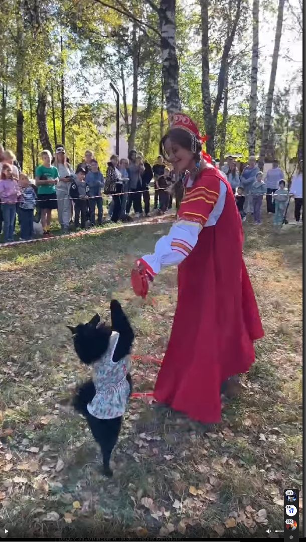 долгопрудный, кинологи, танец с бубном,