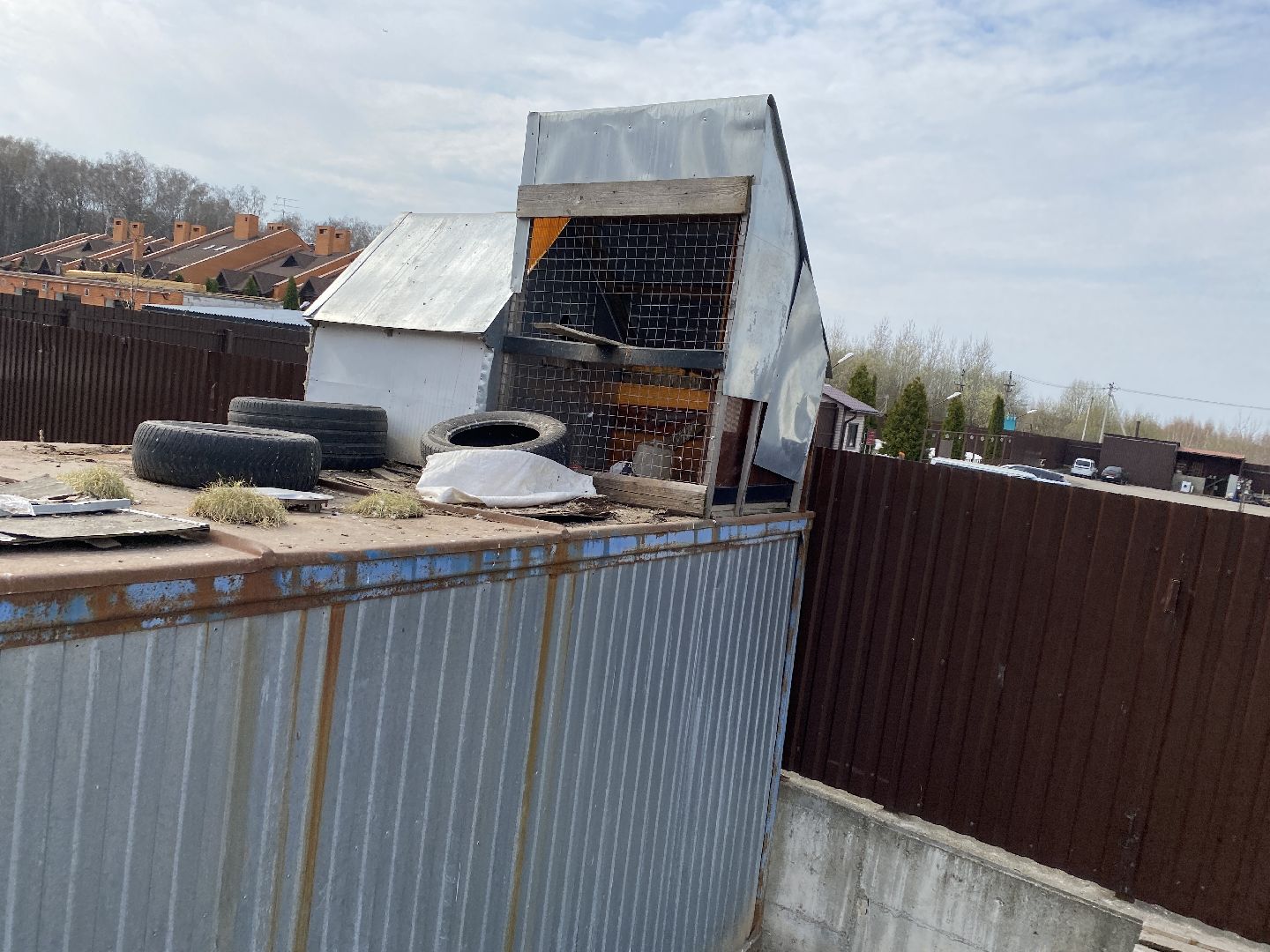 Чехов, голубятня, голуби, житель, магазин